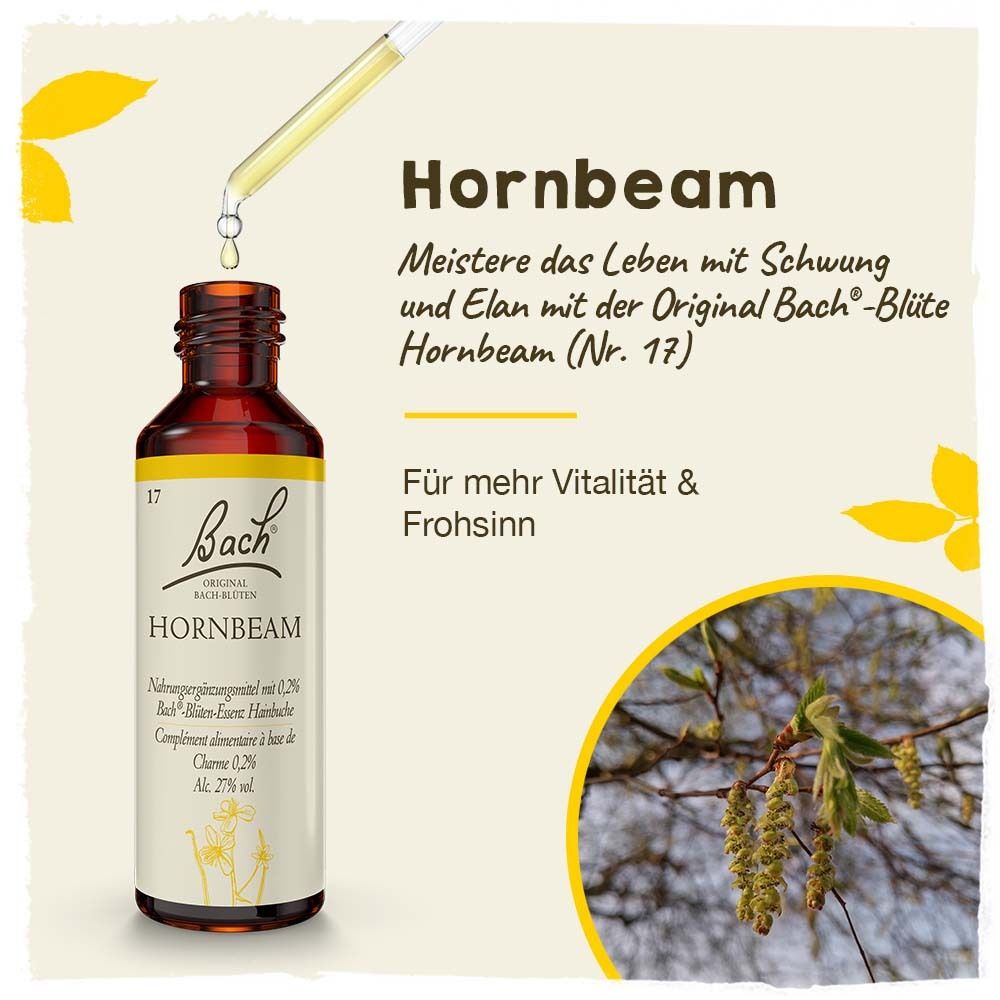 BACH®-BLÜTE HORNBEAM (Hainbuche)