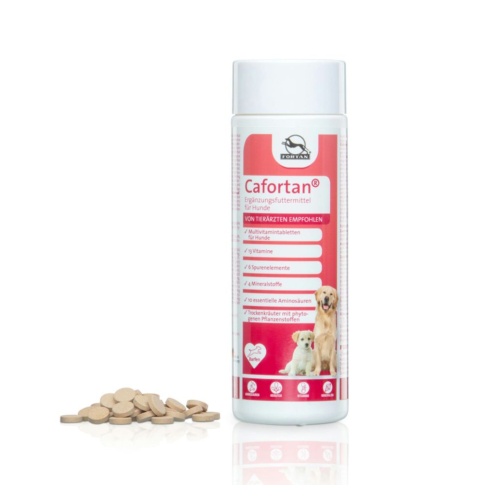 Weiße Flasche mit rotem Etikett. Tabletten daneben. Aufschrift Cafortan® für Hunde. Hund und Welpe.