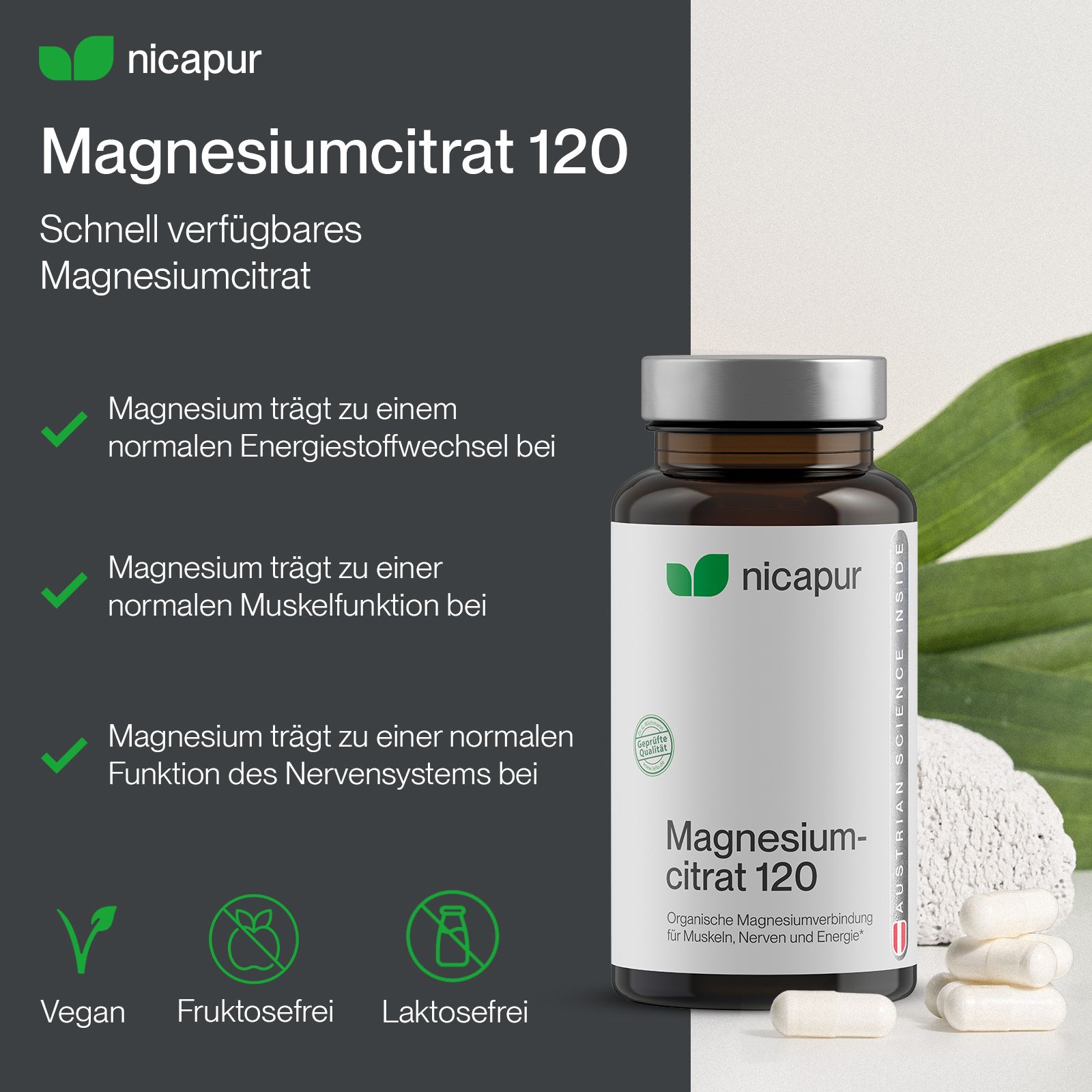 Naturessenz Magnesiumcitrat 120 Kapseln. Braune Glasflasche mit weißem Etikett. Vegan, Fruktosefrei, Laktosefrei.