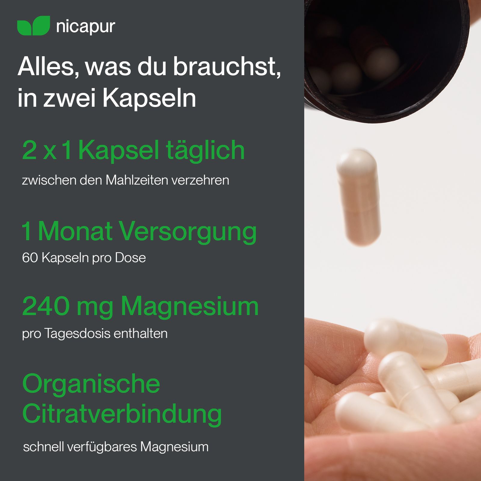N কাপur Magnesium Kapseln: 60 Kapseln pro Dose, 240 mg Magnesium pro Tagesdosis.