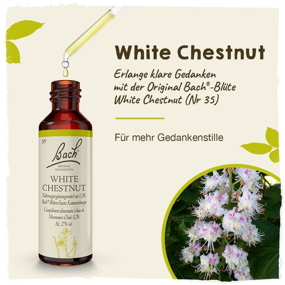 BACH®-BLÜTE WHITE CHESTNUT (Weiße Kastanie)