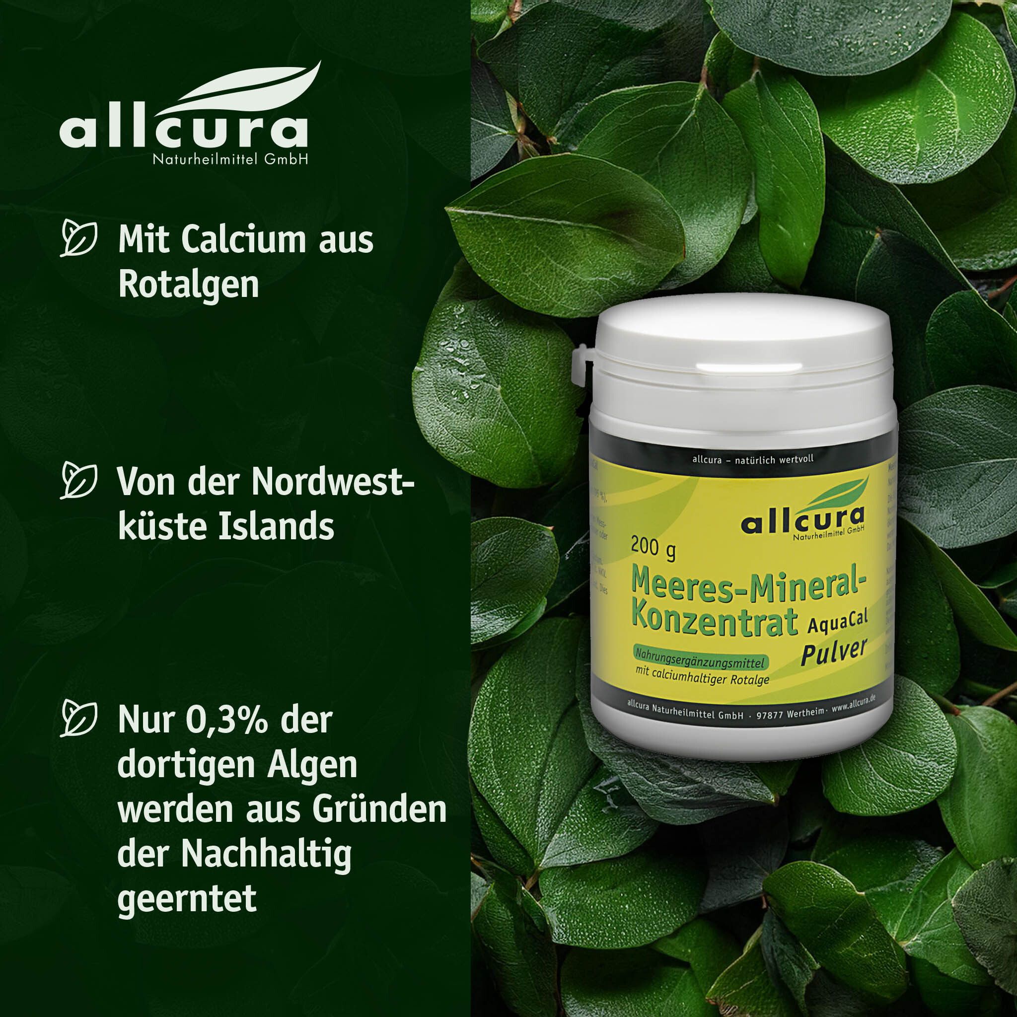 Behälter mit grünem Etikett vor grünem Hintergrund. Text: Mit Calcium aus Rotalgen, Von der Nordwestküste Islands.