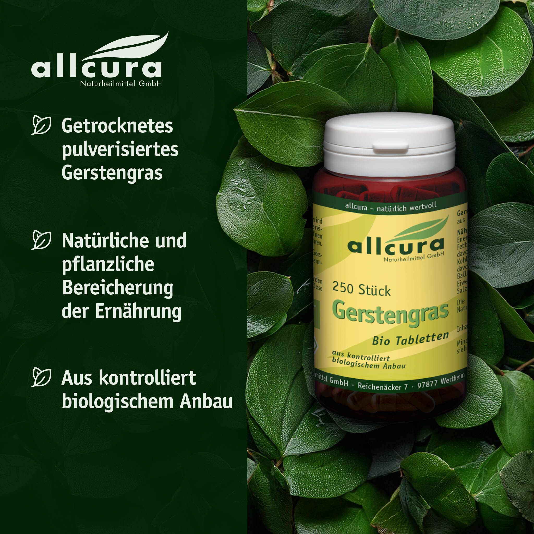 Braune Flasche mit weißen Deckel. Produktname: Gerstengras Bio Tabletten. Marke: allcura. Hintergrund: grüne Blätter.