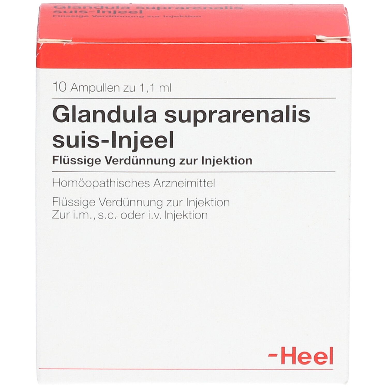 Glandula suprarenalis suis-Injeel® Ampullen