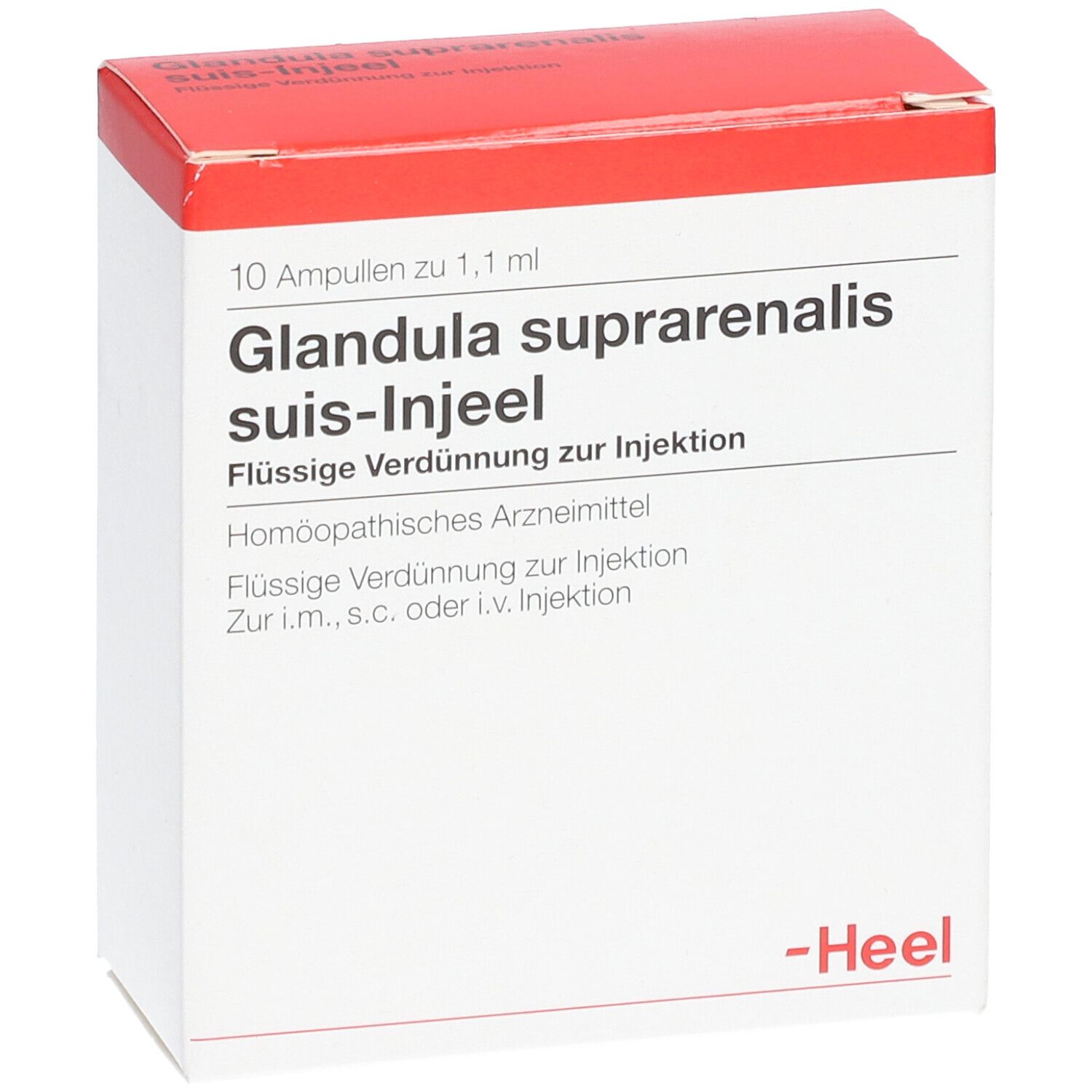 Glandula suprarenalis suis-Injeel® Ampullen