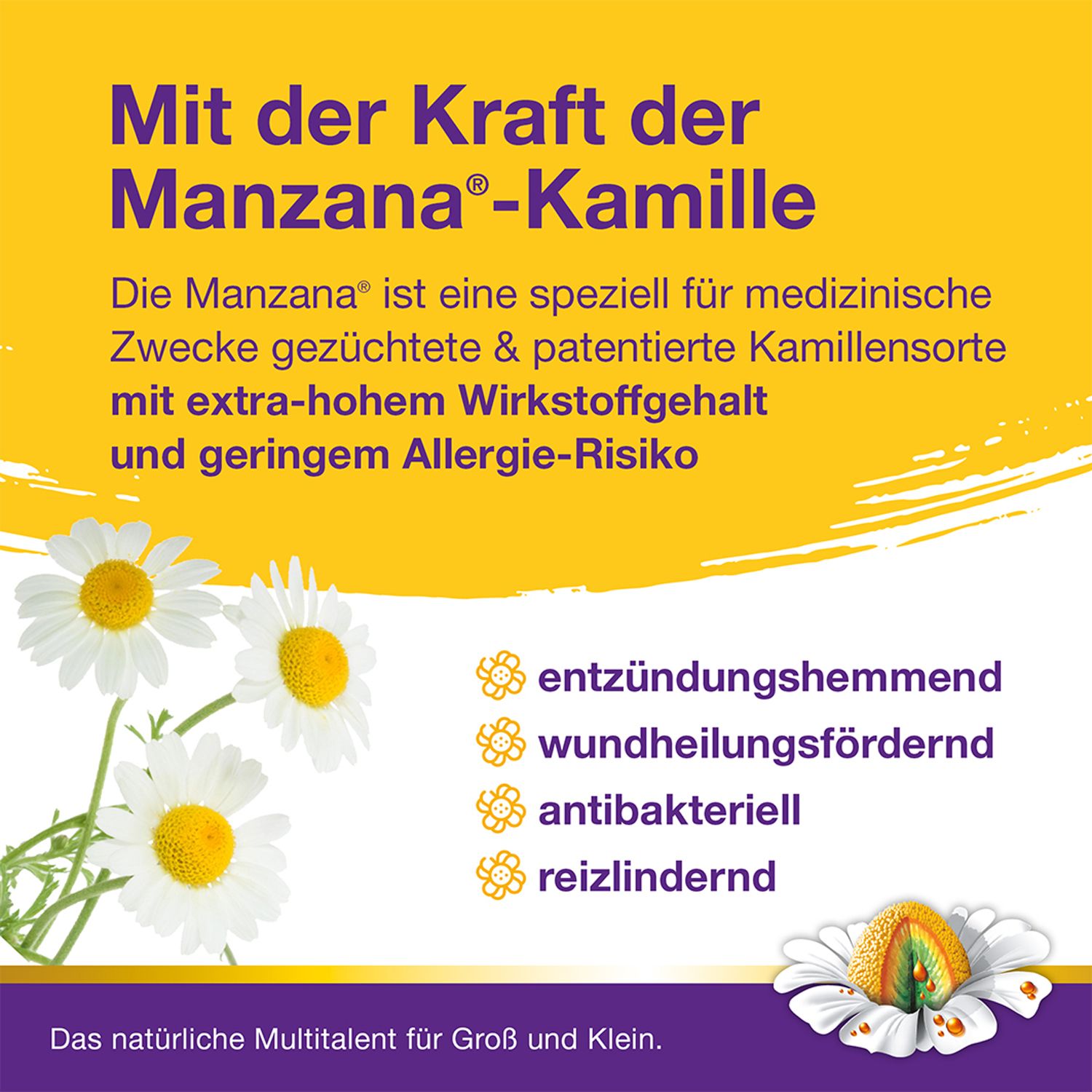 Werbung für Kamillosan® Wund- und Heilbad. Gelber Hintergrund mit Kamillenblüten und Text über Inhaltsstoffe.