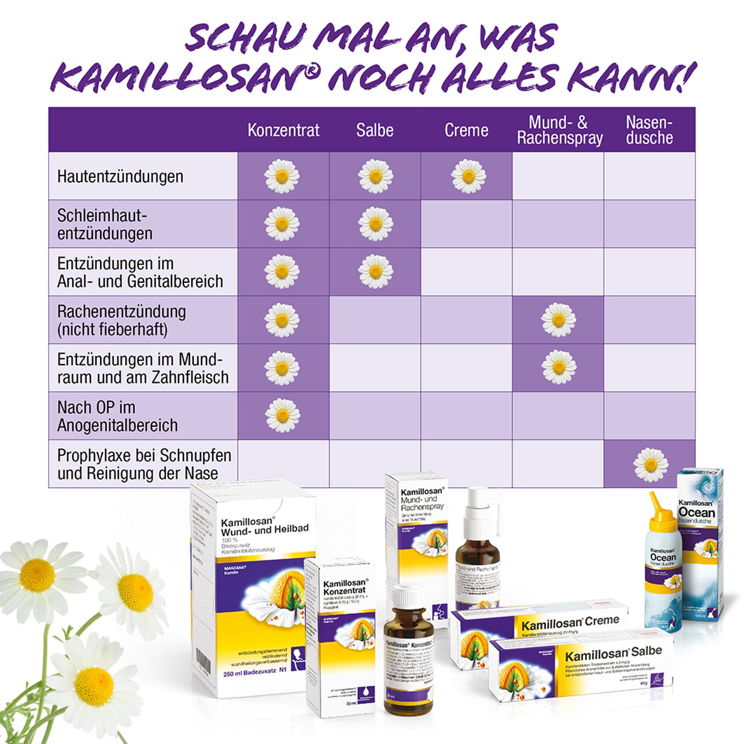Übersicht verschiedener Kamillosan® Produkte. Konzentrat, Salbe, Creme, Mund- & Rachenspray, Nasendusche.