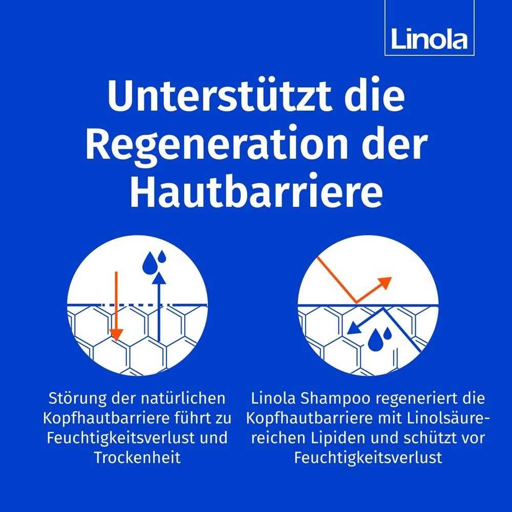 Grafik: Hautbarriere-Regeneration. Linola Shampoo regeneriert die Hautbarriere mit Linolsäure. Schützt vor Feuchtigkeitsverlust.