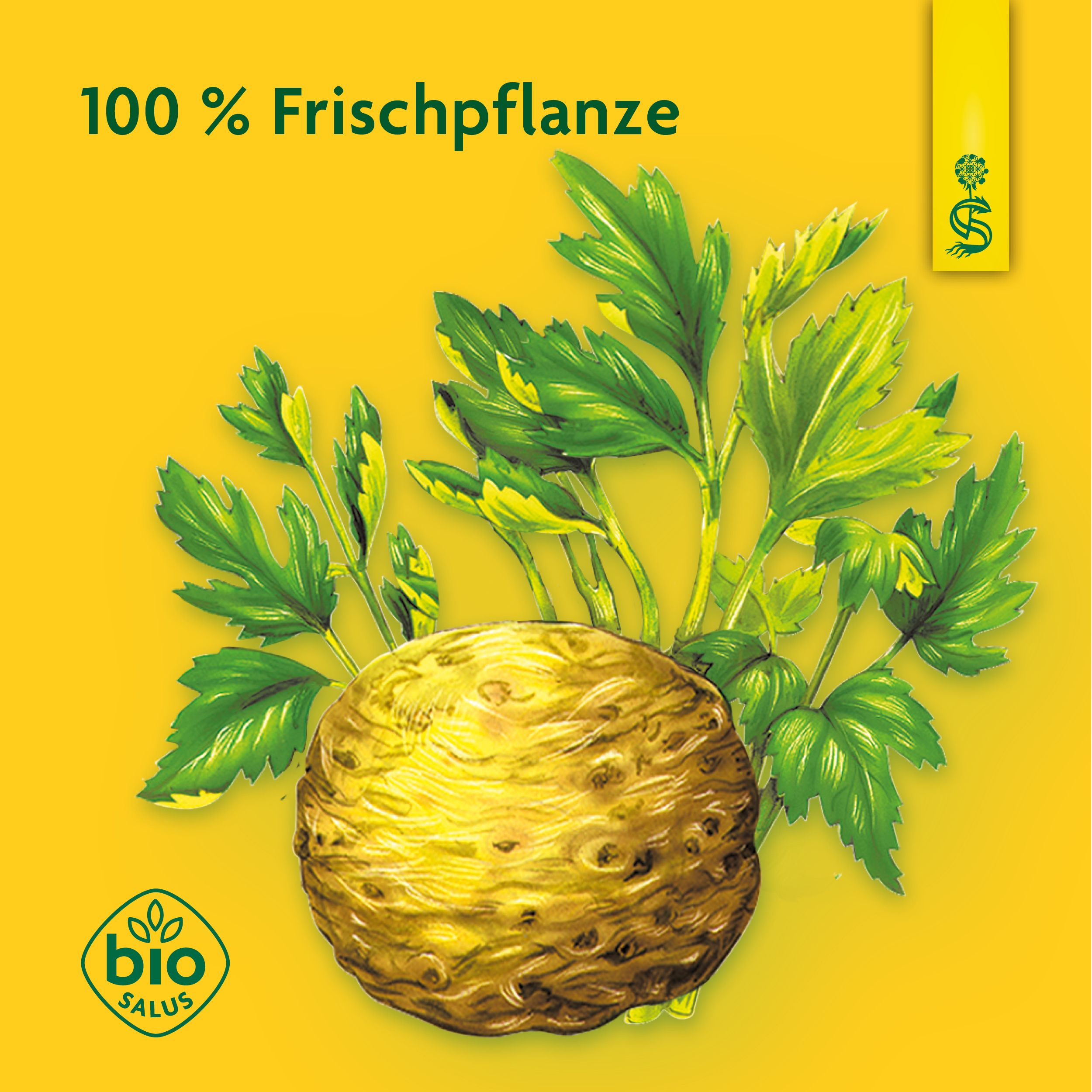 Schoenenberger® naturreiner Gemüsesaft Sellerie