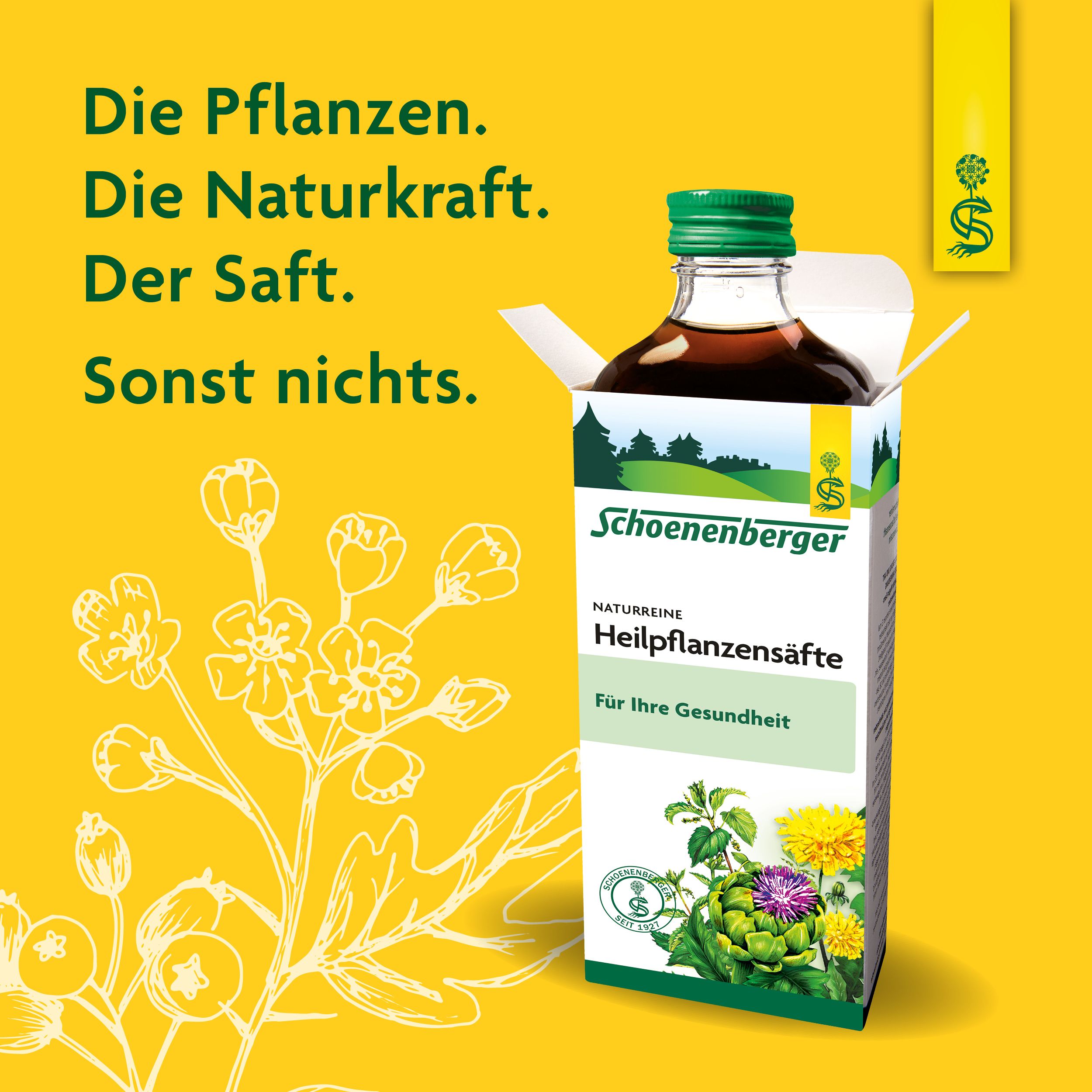 Schoenenberger® naturreiner Gemüsesaft Fenchel