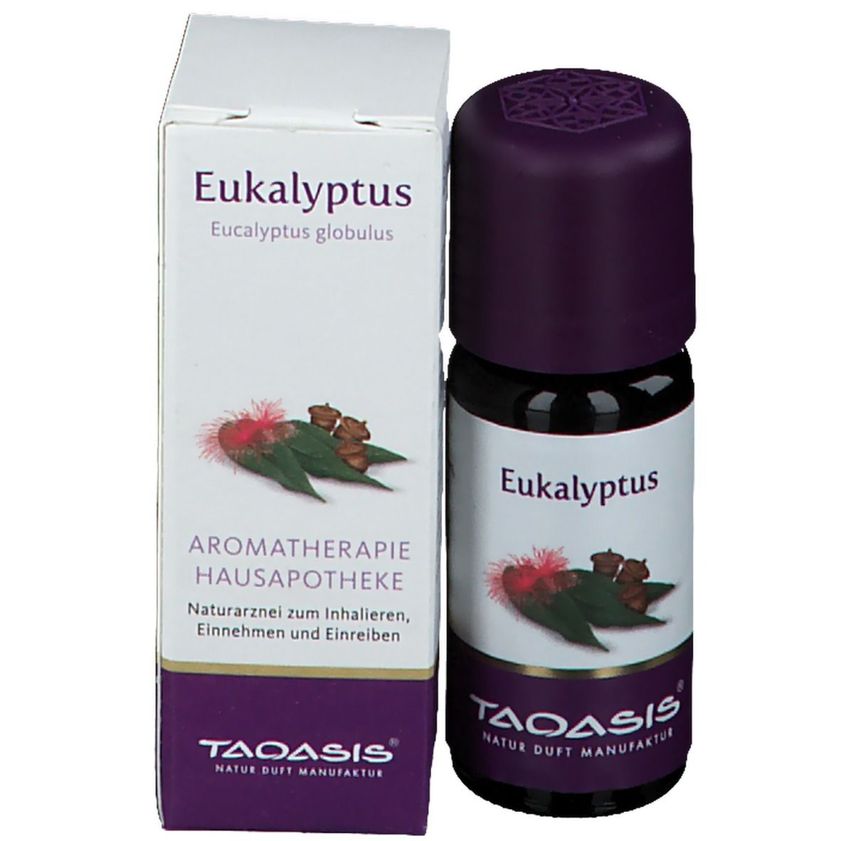 Eukalyptus Öl im Umkarton-Arzneim.