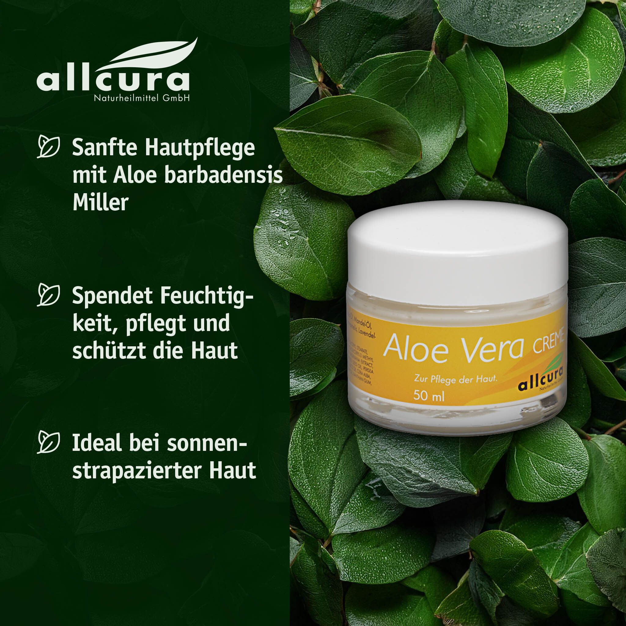 Aloe Vera Creme-Behälter vor grünem Hintergrund. Text: Sanfte Hautpflege, spendet Feuchtigkeit, ideal bei sonnenstrapazierter Haut.