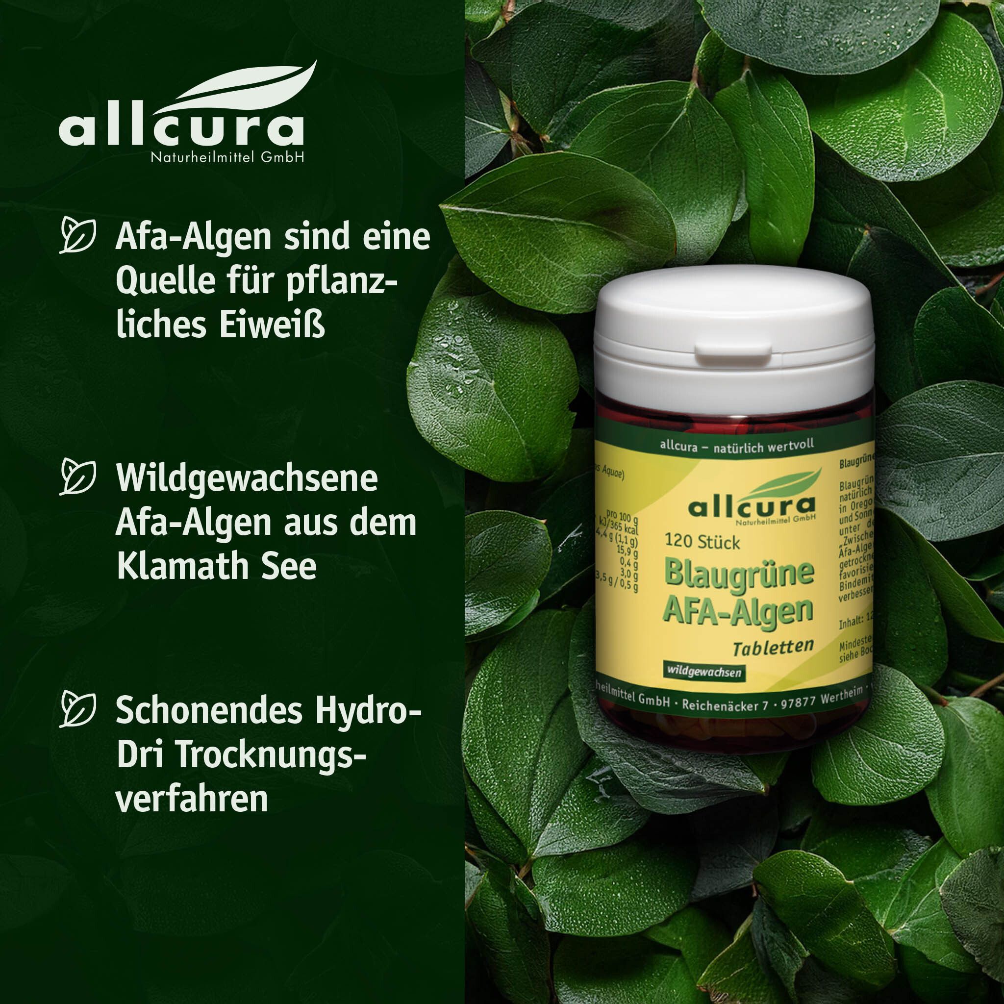 Dose mit weißem Deckel, umgeben von grünen Blättern. Aufschrift: Blaugrüne AFA-Algen, 120 Tabletten. Marke: allcura.