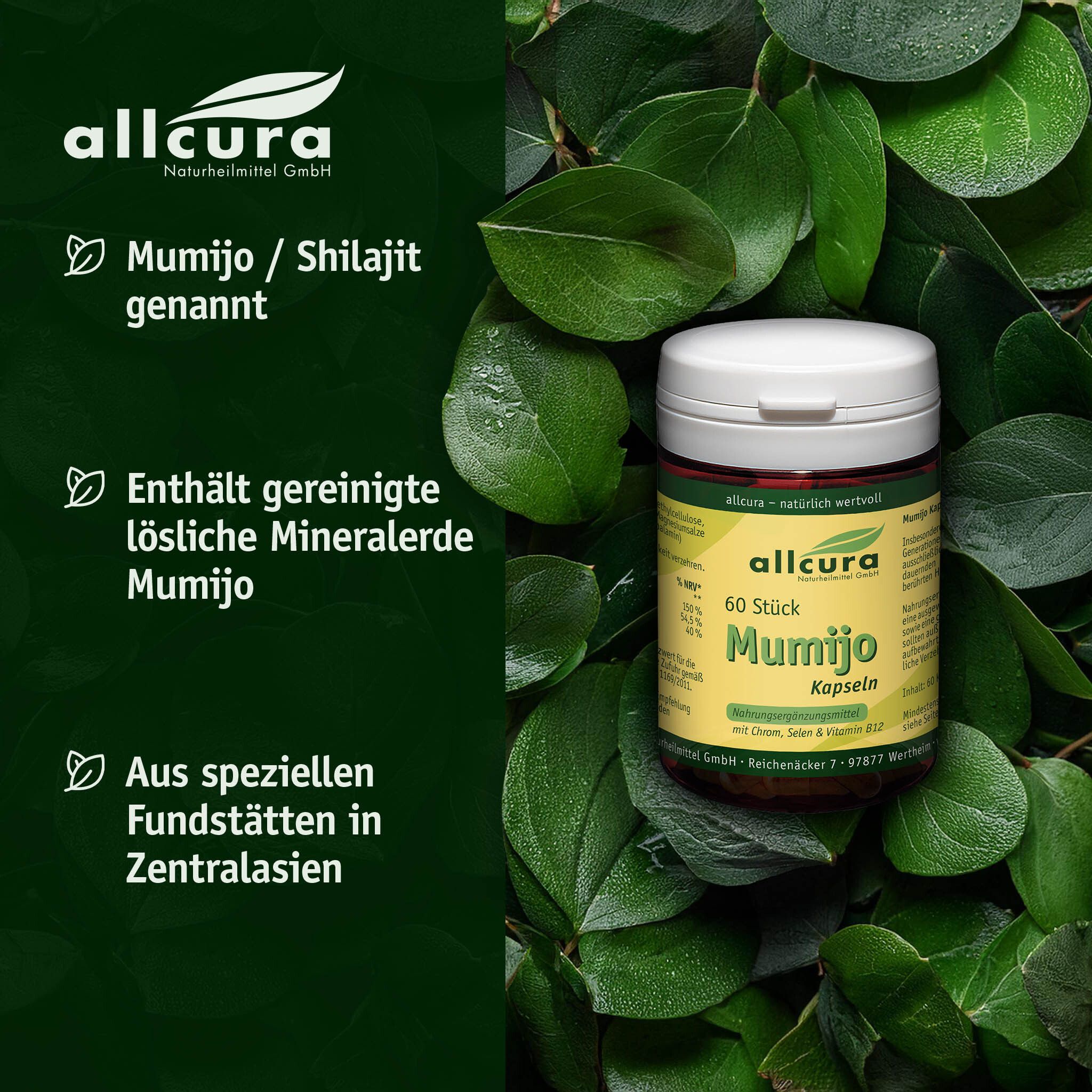 Grüner Hintergrund mit Blättern. Pillendose mit gelbem Etikett. Aufschrift: allcura Mumijo Kapseln, 60 Stück.