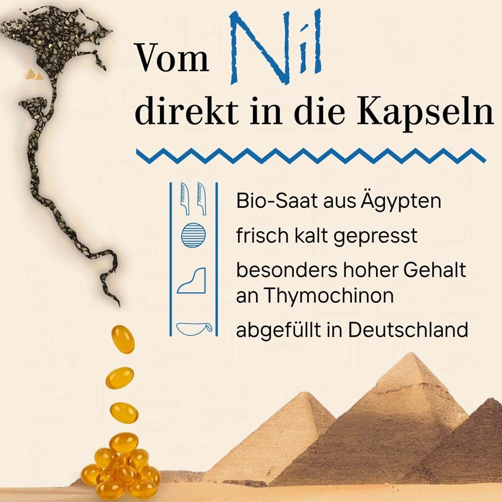 Grafik mit gelben Kapseln. Text: Vom Nil direkt in die Kapseln. Bio-Saat aus Ägypten, frisch kalt gepresst, hoher Thymochinon-Gehalt.