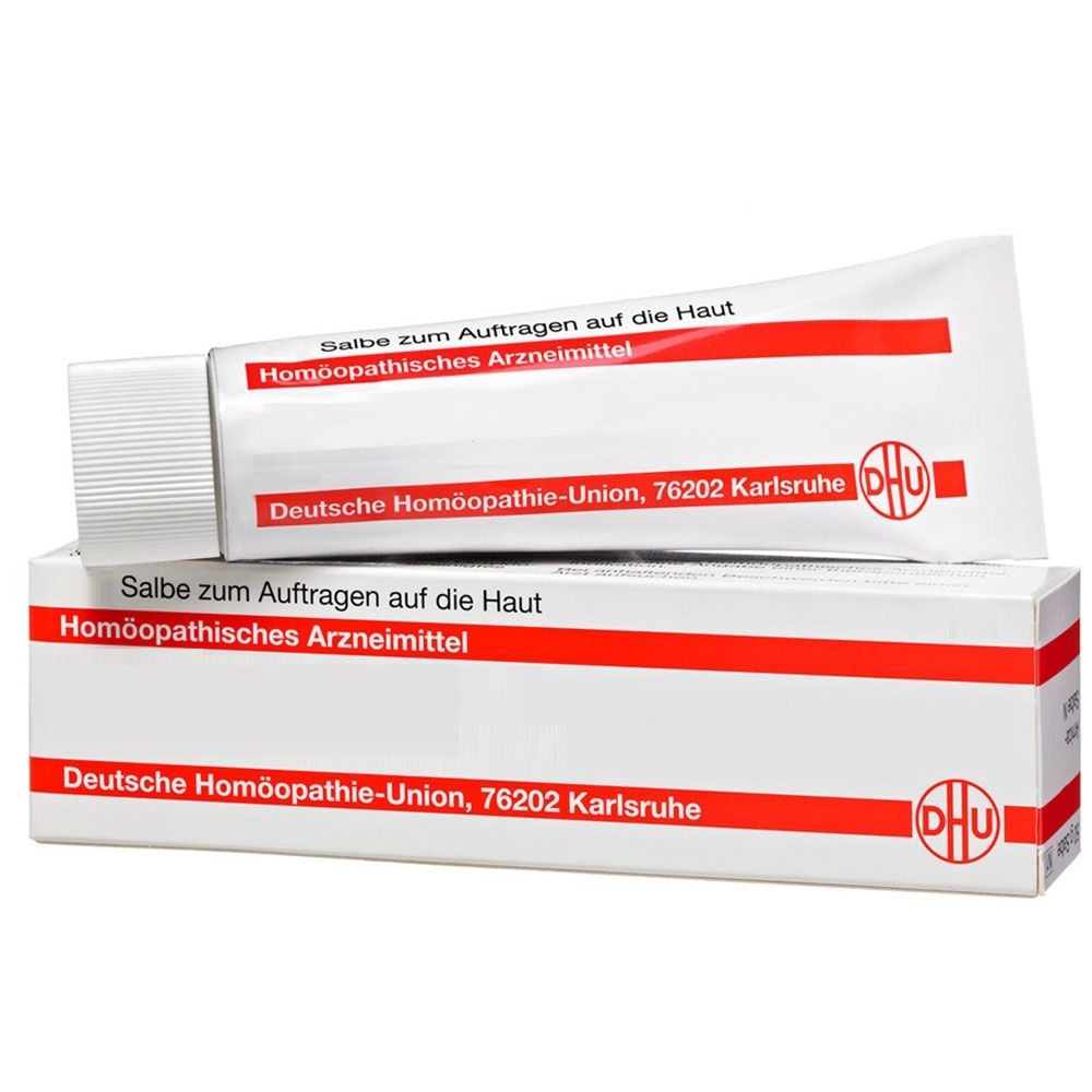 DHU Echinacea HAB Salbe N