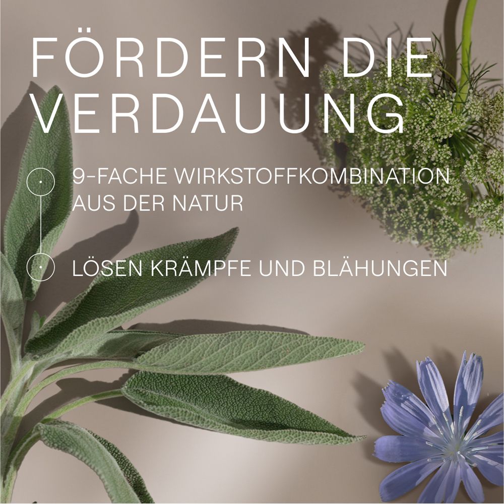 Kräuter und Blüten. Text: Fördern die Verdauung. 9-fache Wirkstoffkombination aus der Natur. Lösen Krämpfe und Blähungen.