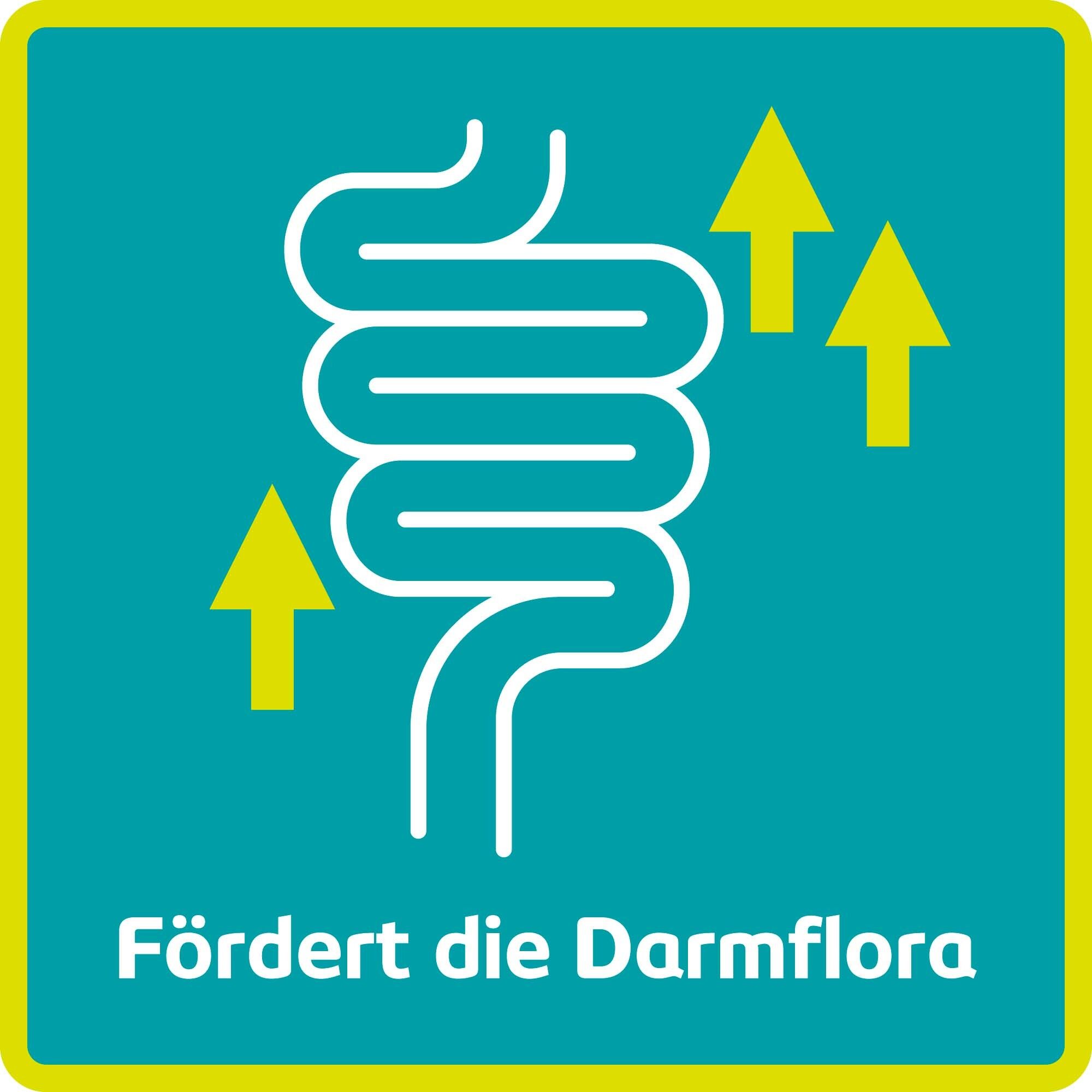 Gelbes Quadrat mit Darm-Symbol. Text: Fördert die Darmflora.