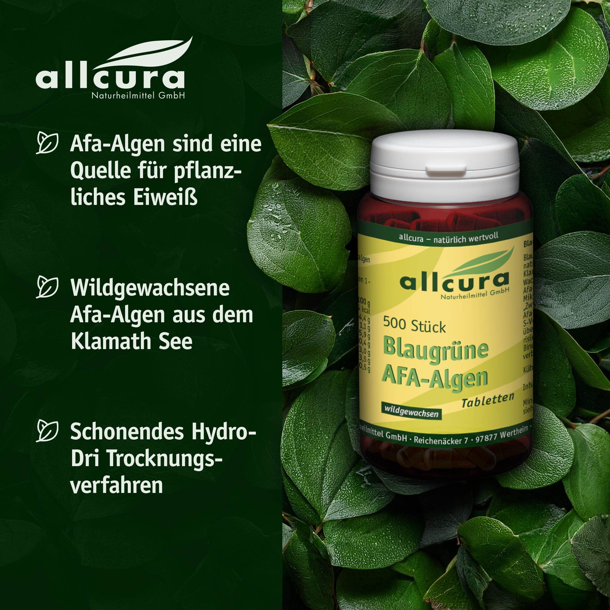 Tablettenflasche mit grünem Etikett, umgeben von Blättern. Text: 500 Stück, Blaugrüne AFA-Algen. Marke: allcura.