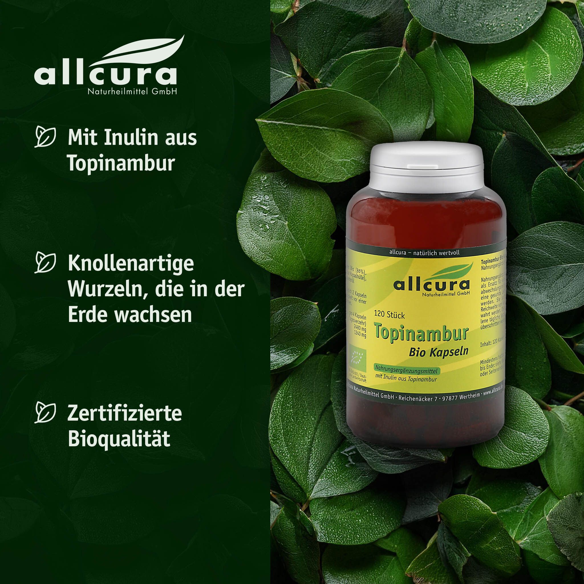 Braune Flasche mit weißem Deckel, umgeben von grünen Blättern. Aufschrift: Topinambur Kapseln, 120 St. allcura.