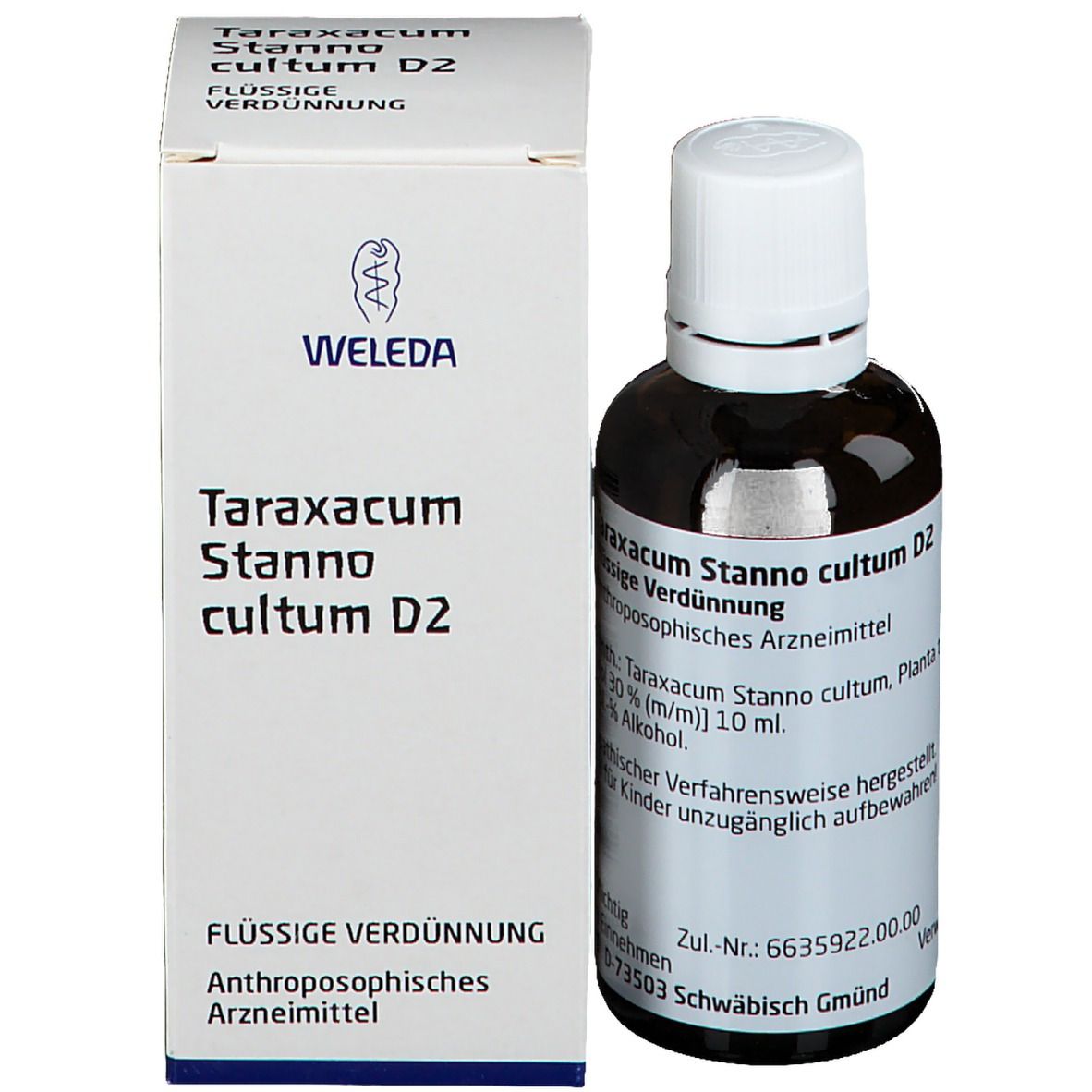 Taraxacum Stanno Cultum D2