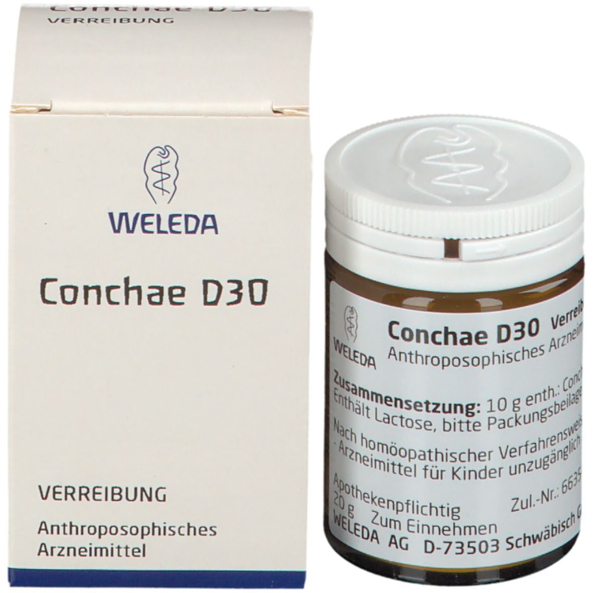 Conchae D30 Trituration