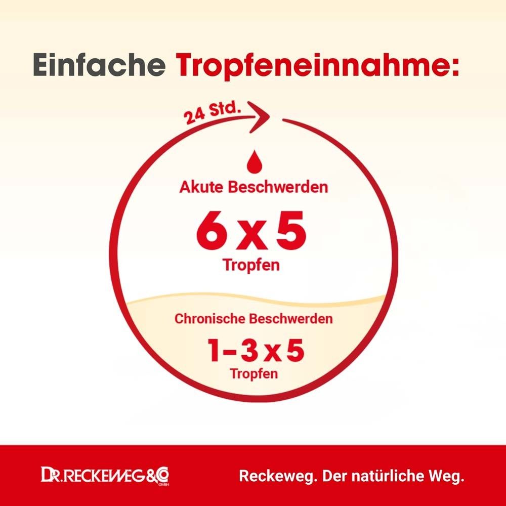 Grafik zur Dosierung. Akute Beschwerden: 6x5 Tropfen. Chronische Beschwerden: 1-3x5 Tropfen. Dr. Reckeweg.