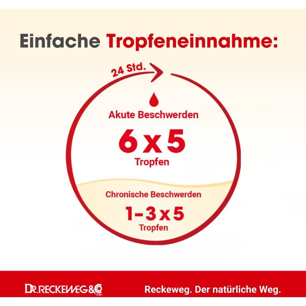 Tropfen zur Einnahme: 6x5 Tropfen bei akuten Beschwerden, 1-3x5 Tropfen bei chronischen.