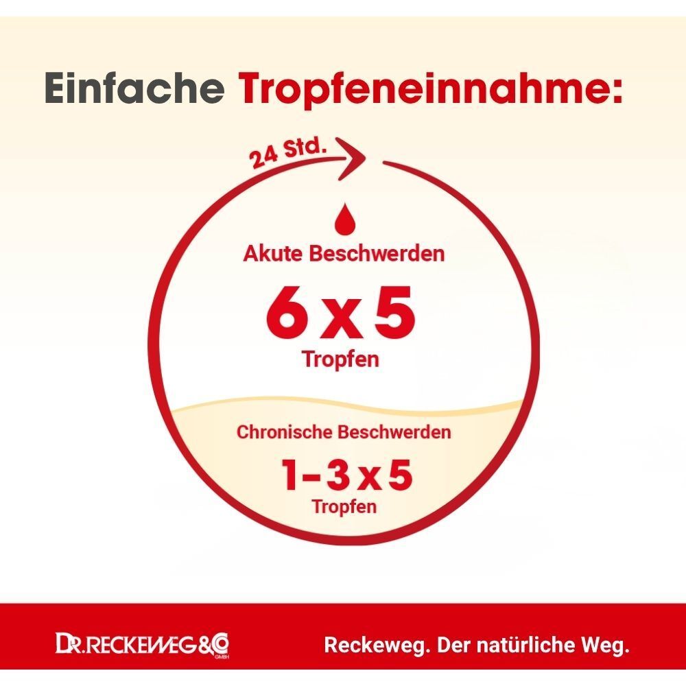 Grafik zur einfachen Tropfeneinnahme von Dysmenorrhoe-Gastreu S R75 für akute und chronische Beschwerden.