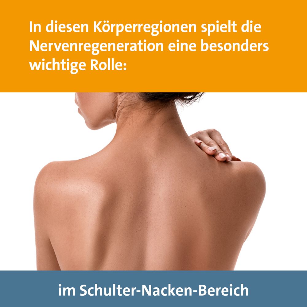 Schulter-Nacken-Bereich einer Frau, hervorgehoben als wichtige Region für Nervenregeneration.