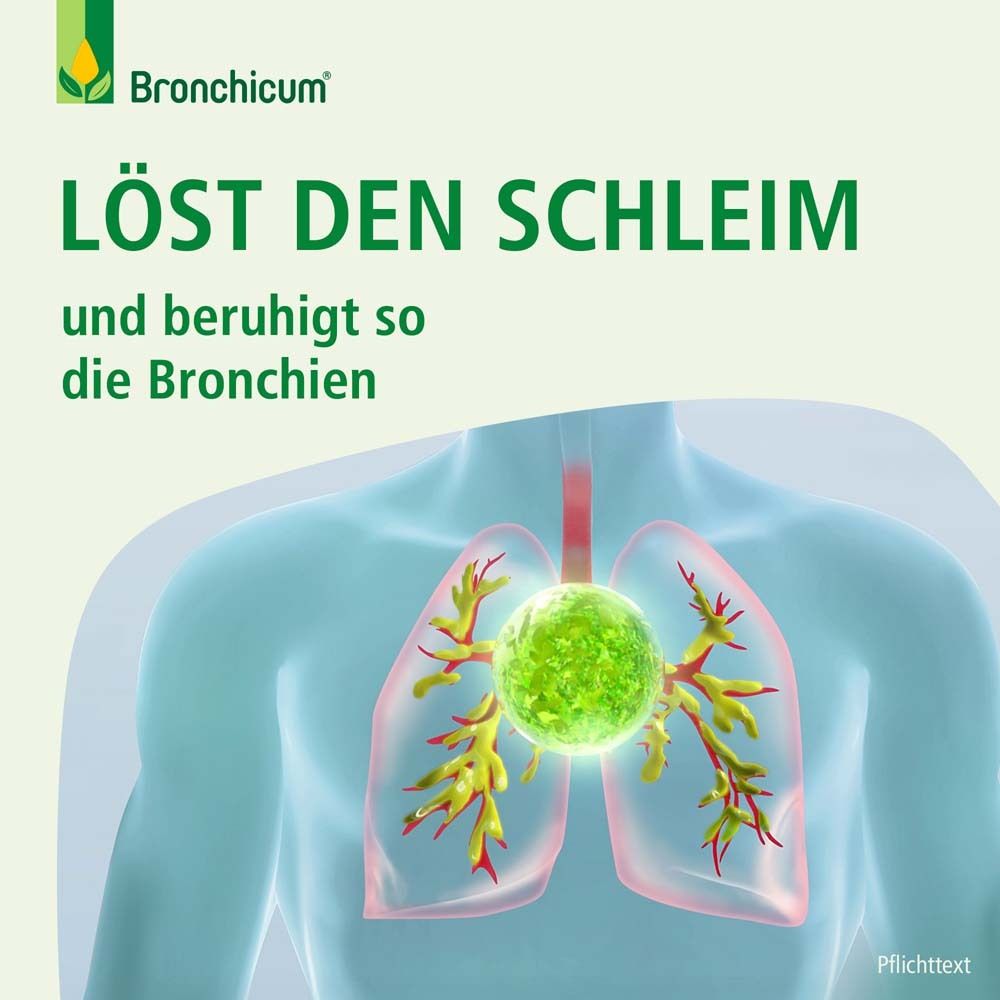 Illustration der Lunge. Text: Löst den Schleim und beruhigt so die Bronchien.