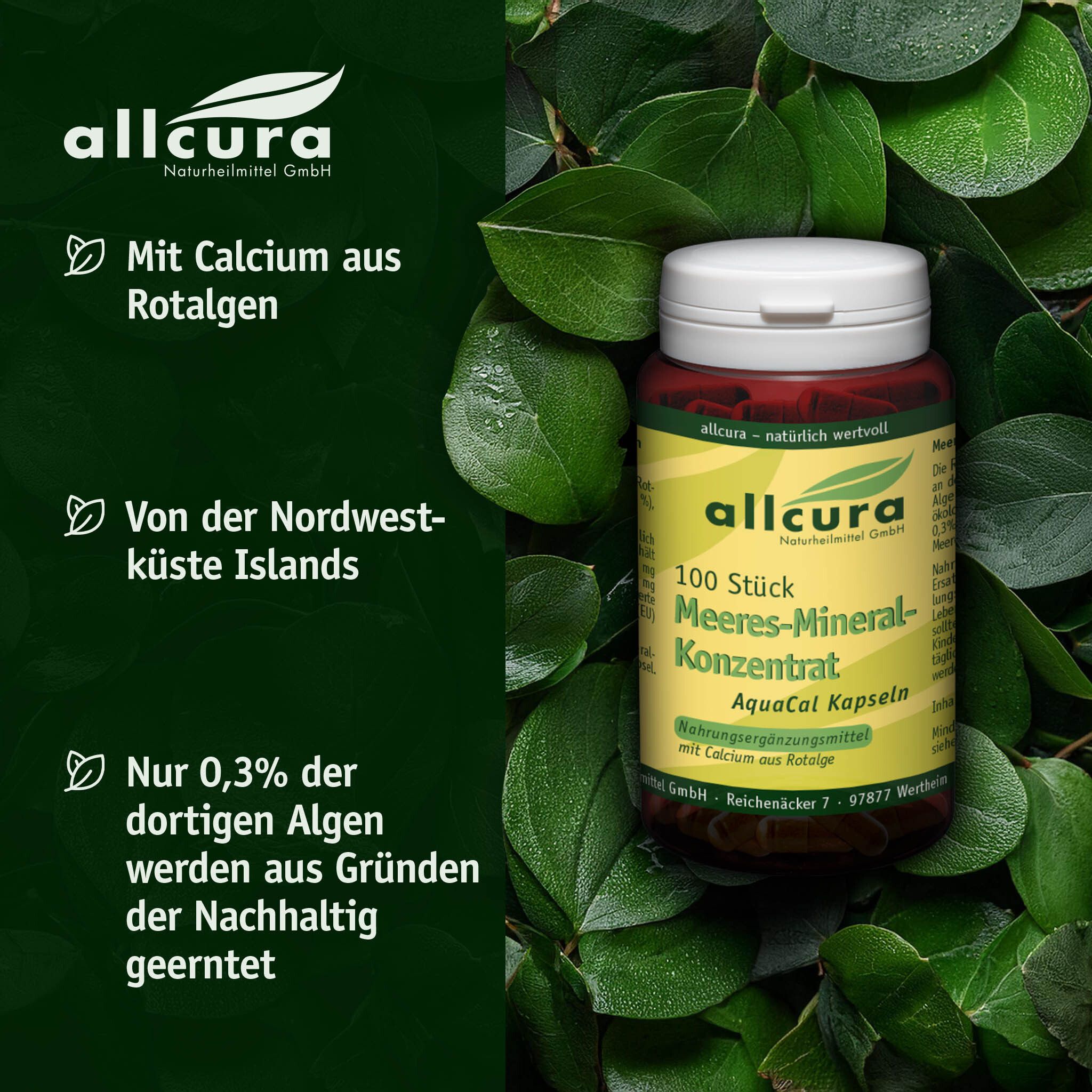Braune Kapsel-Dose mit weißem Deckel, umgeben von Blättern. Aufschrift: allcura, 100 Stück, AquaCal Kapseln.