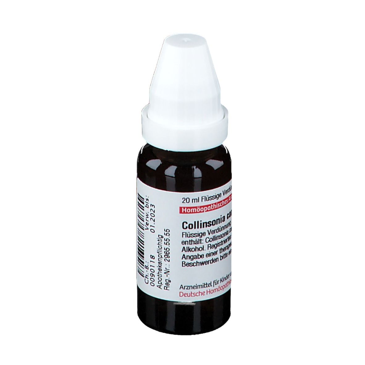 DHU Collinsonia Canadensis D2