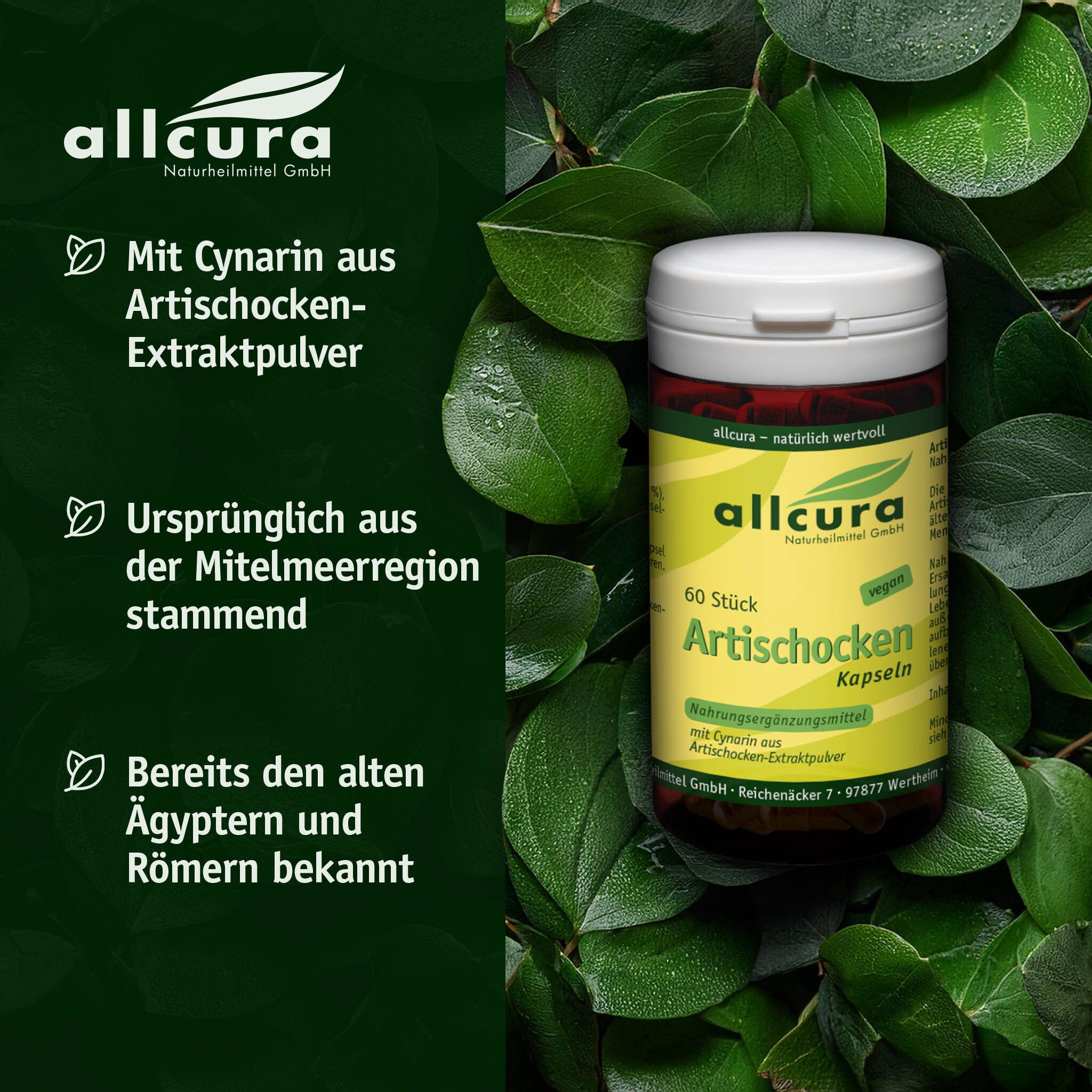 Dose mit 60 Artischocken Kapseln, umgeben von Blättern. Text: allcura, Artischocken Kapseln, Nahrungsergänzungsmittel.