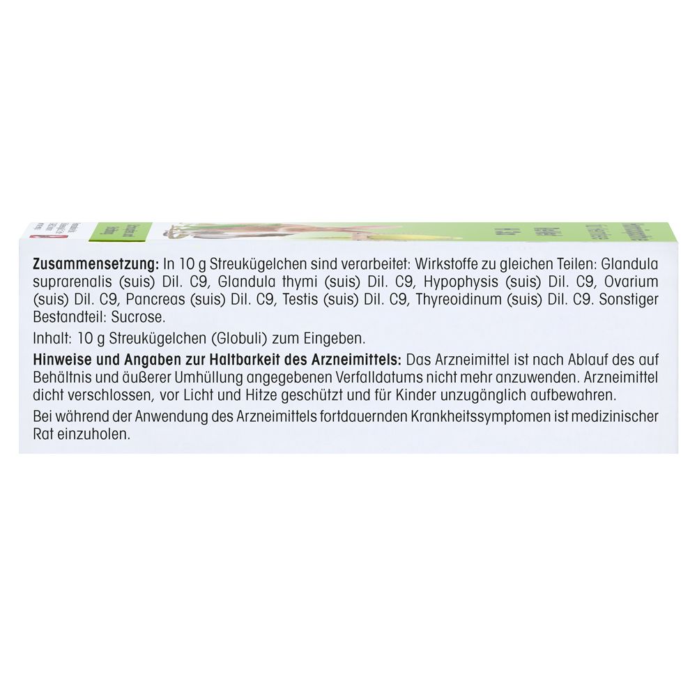 Rückseite der Produktverpackung mit Text. Zusammensetzung, Hinweise und Angaben zur Haltbarkeit des Arzneimittels.