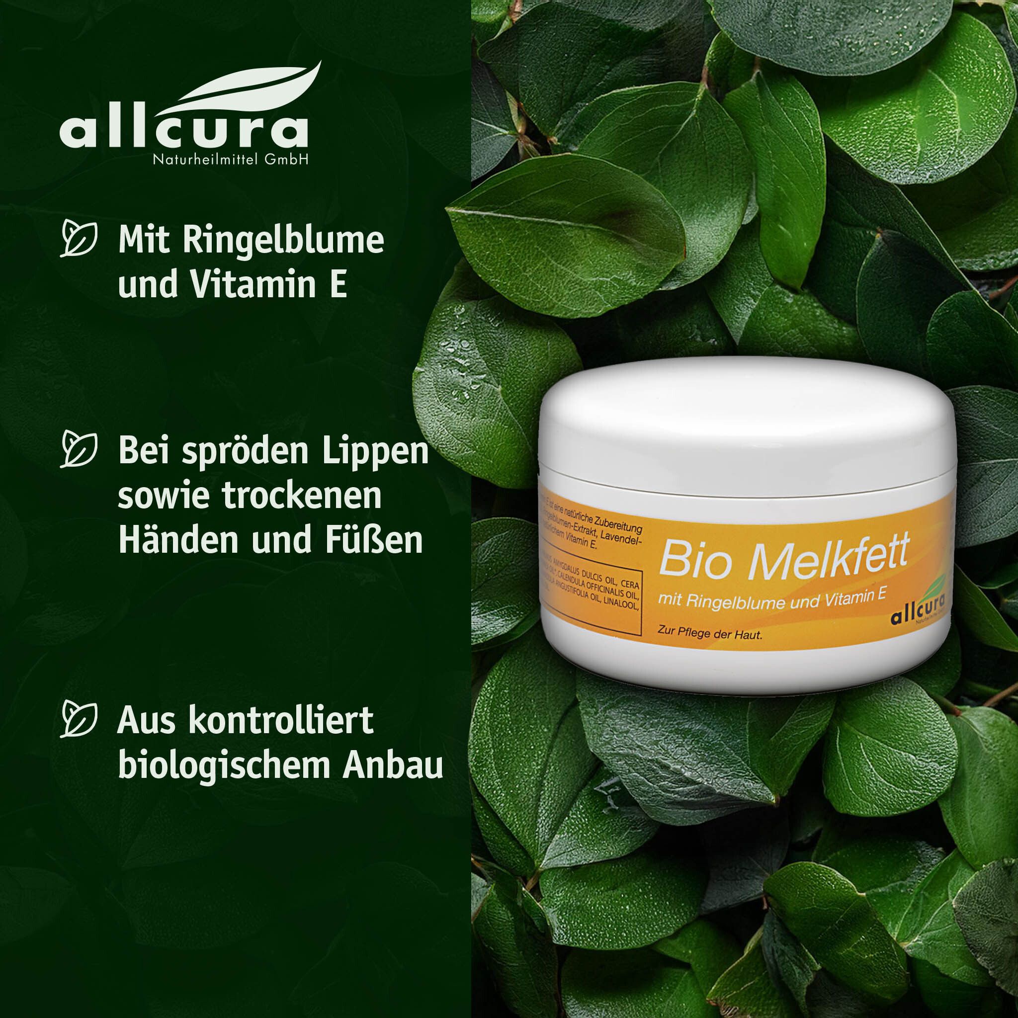 Weißer Tiegel mit gelbem Etikett, umgeben von grünen Blättern. Text: Bio Melkfett, Ringelblume, Vitamin E. Marke: allcura.