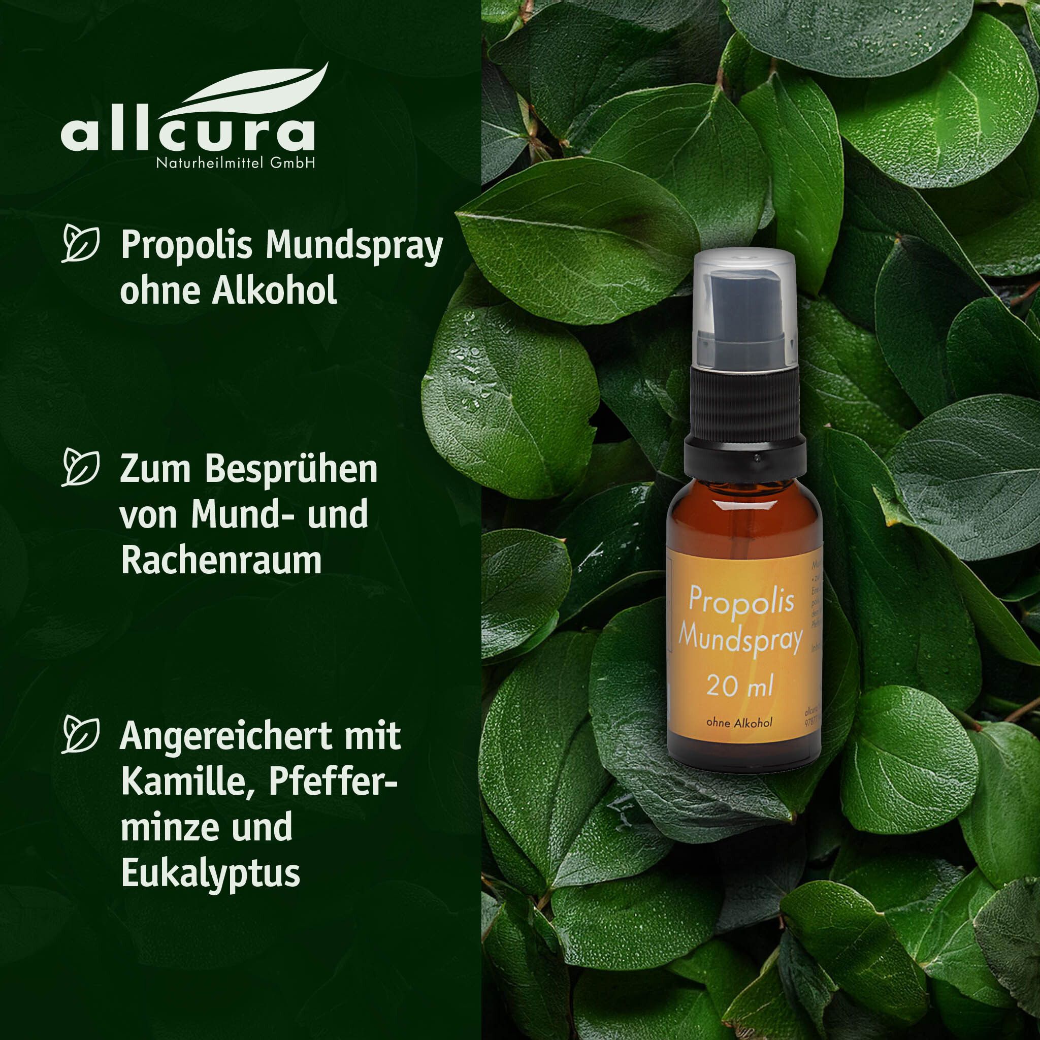 Braune Sprühflasche vor grünem Hintergrund. Text: Propolis Mundspray ohne Alkohol. Zum Besprühen von Mund- und Rachenraum.