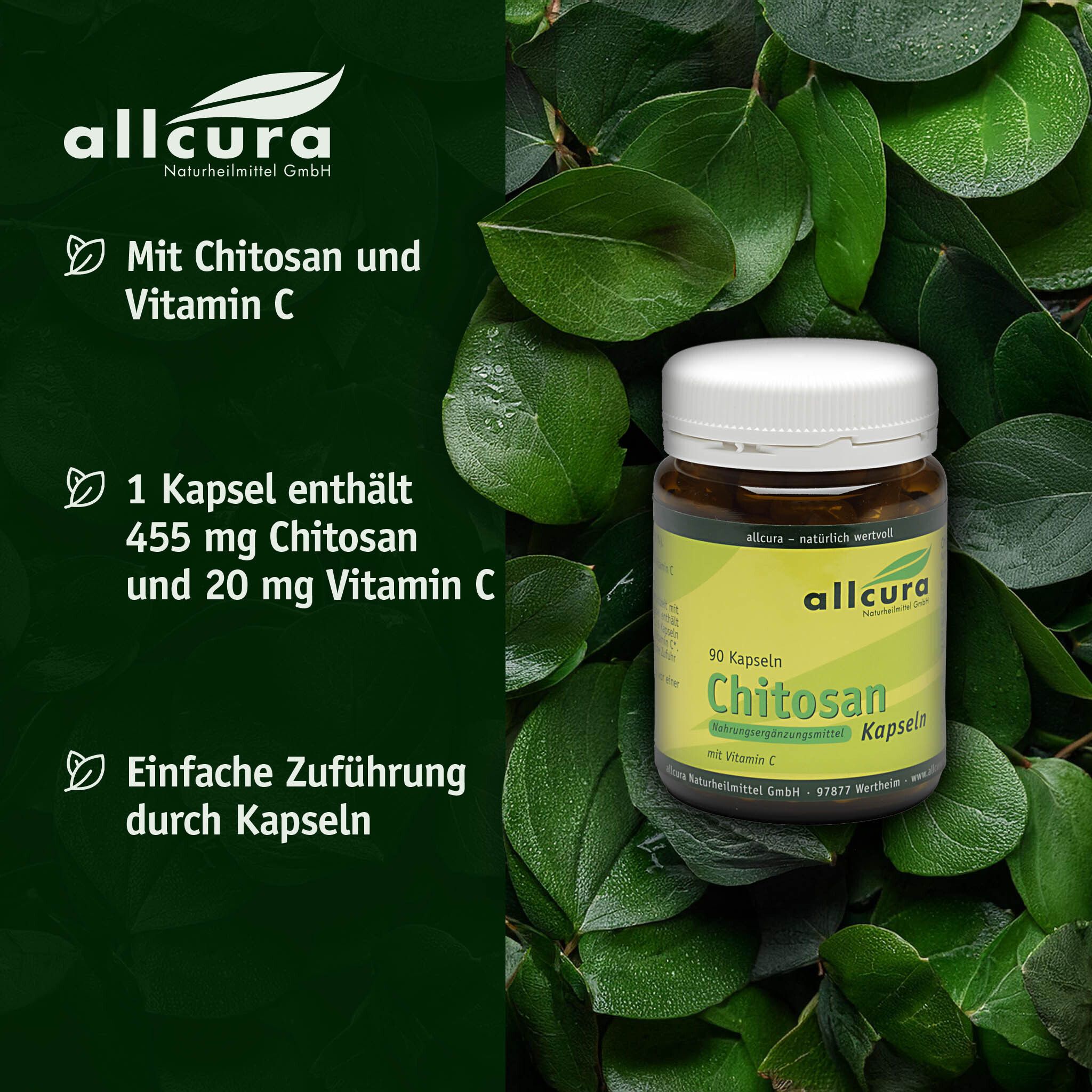 Braune Flasche mit weißen Deckel. Aufschrift: allcura Chitosan Kapseln. 30 Kapseln. Mit Vitamin C. Auf Blättern.