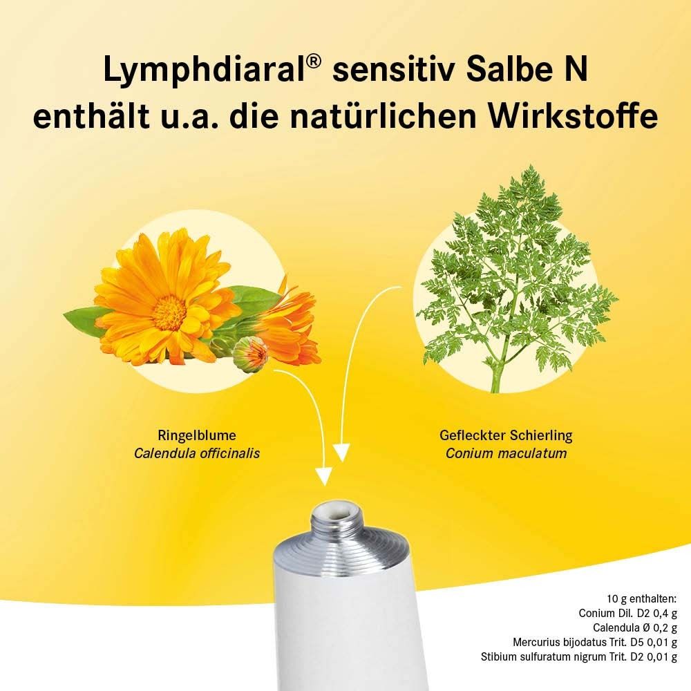 Produkt und Tube mit Inhaltsstoffen. Illustrationen von Ringelblume und Geflecktem Schierling. Text: Lymphdiaral sensitiv Salbe N.