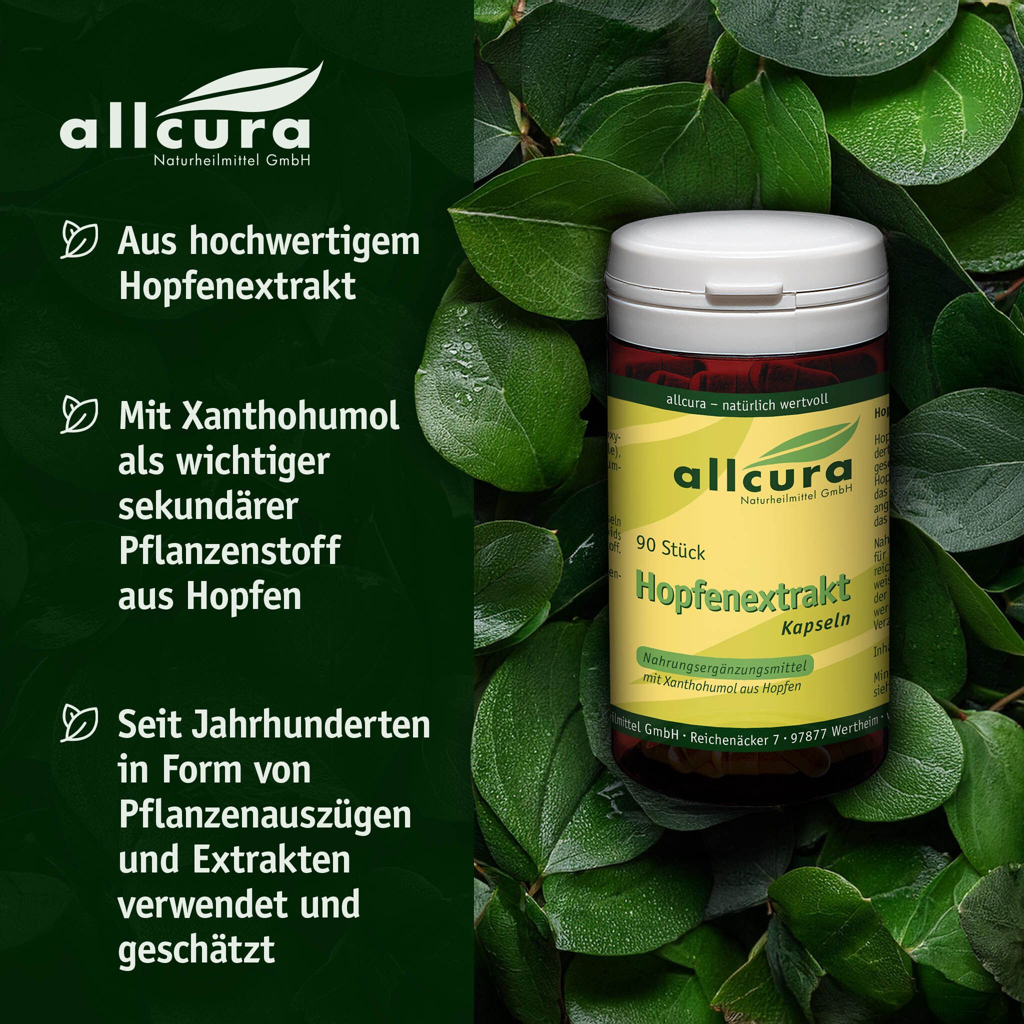 Dose mit Hopfenextrakt-Kapseln, umgeben von grünen Blättern. Text: Aus hochwertigem Hopfenextrakt.