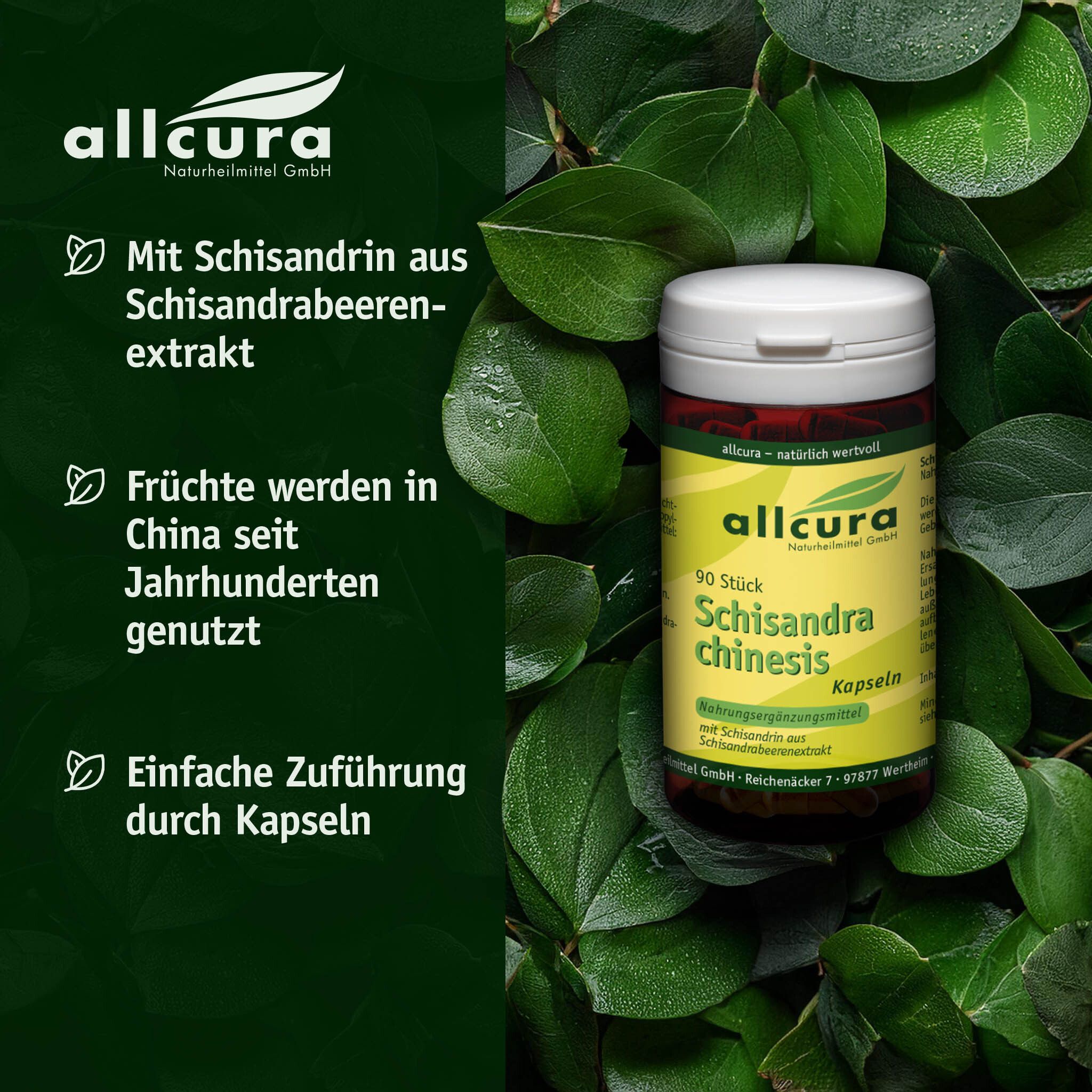 Braune Dose mit weißem Deckel, umgeben von Blättern. Text: allcura, Schisandra chinensis Kapseln.