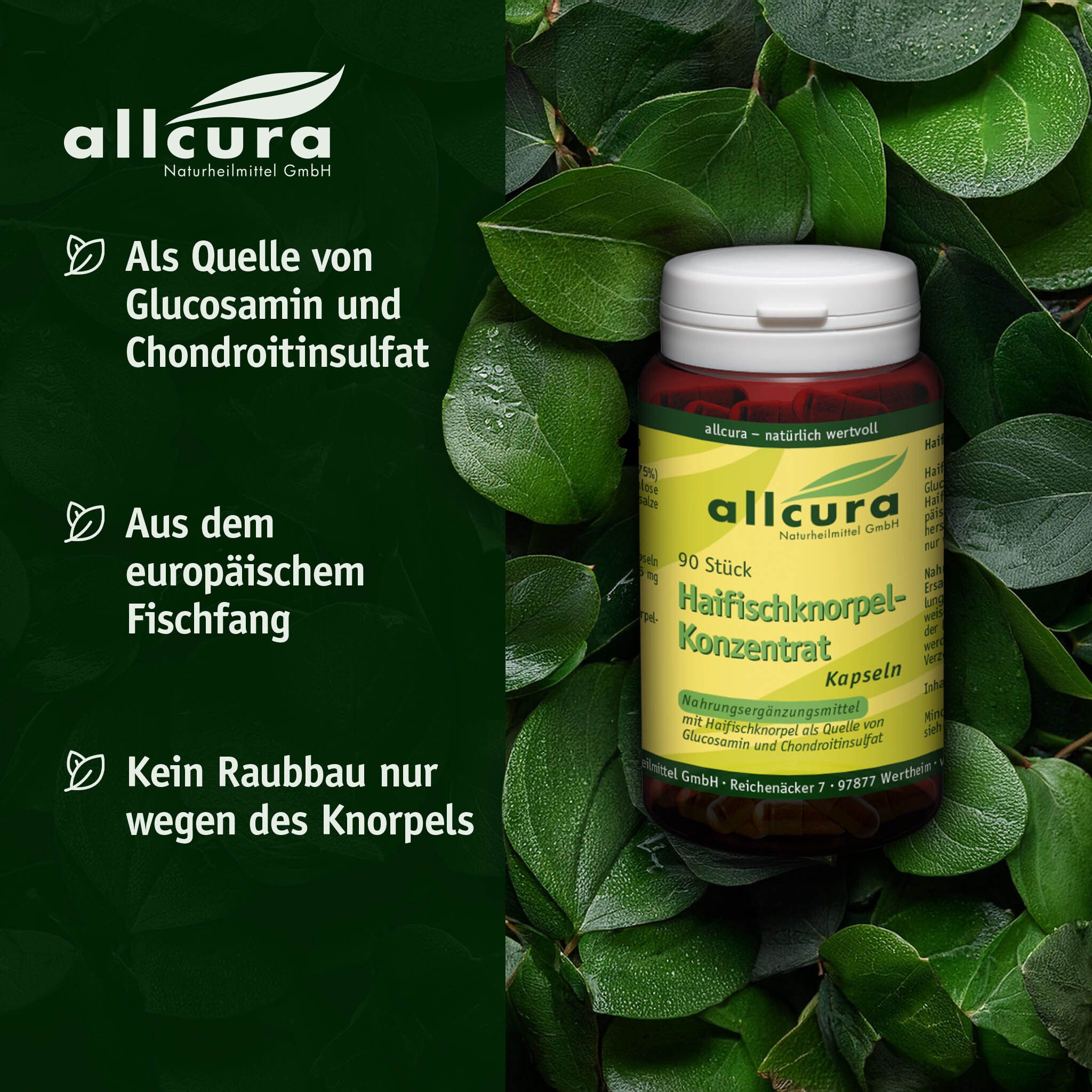 Braune Flasche mit Kapseln, umgeben von grünen Blättern. Text: allcura, Quelle von Glucosamin und Chondroitinsulfat.