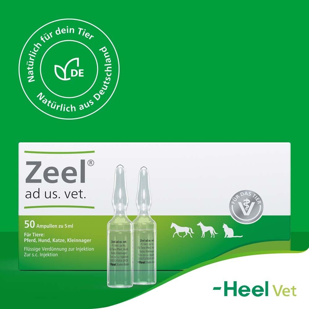 Packung mit Zeel ad us. vet. Ampullen. Zwei Ampullen stehen vor der Packung. Aufschrift: 50 Ampullen zu 5ml.