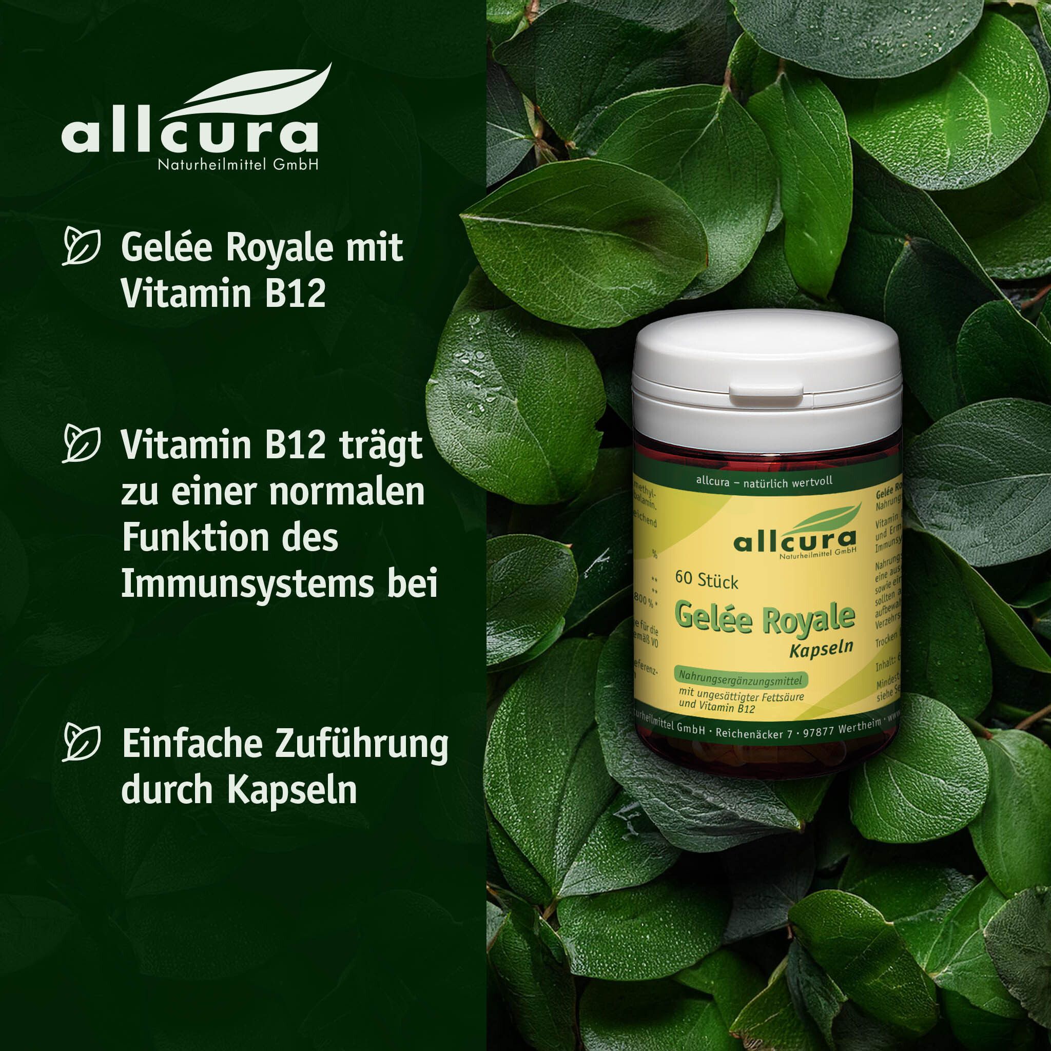Dose allcura Gelée Royale Kapseln in Blättern. Text: Gelée Royale mit Vitamin B12. Einfache Zuführung.