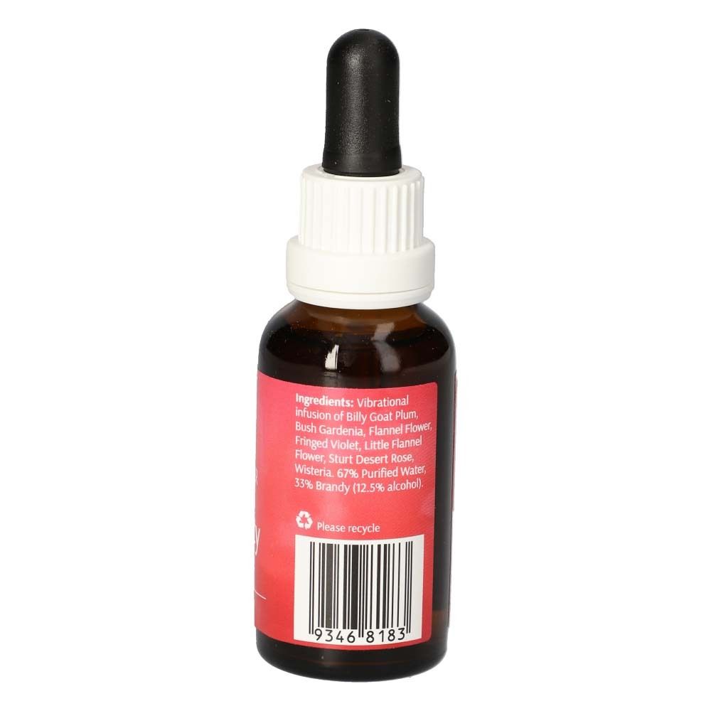 Rückansicht der Flasche. Rotes Etikett mit Zutatenliste und Barcode. Text: Ingredients: Vibrational Infusion of... Brandy (12.5% alcohol).