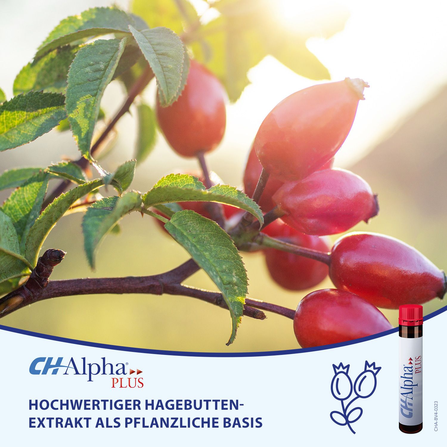 CH-Alpha PLUS Gelenk Kollagen Trinkampullen für gesunde Gelenke und Knorpel mit Hagebuttenextrakt und Vitamin C