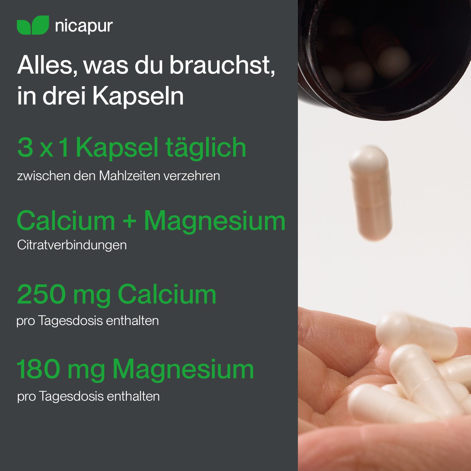 Nicapur Calcium Magnesium Citrat: 3x1 Kapsel täglich, 250 mg Calcium, 180 mg Magnesium.