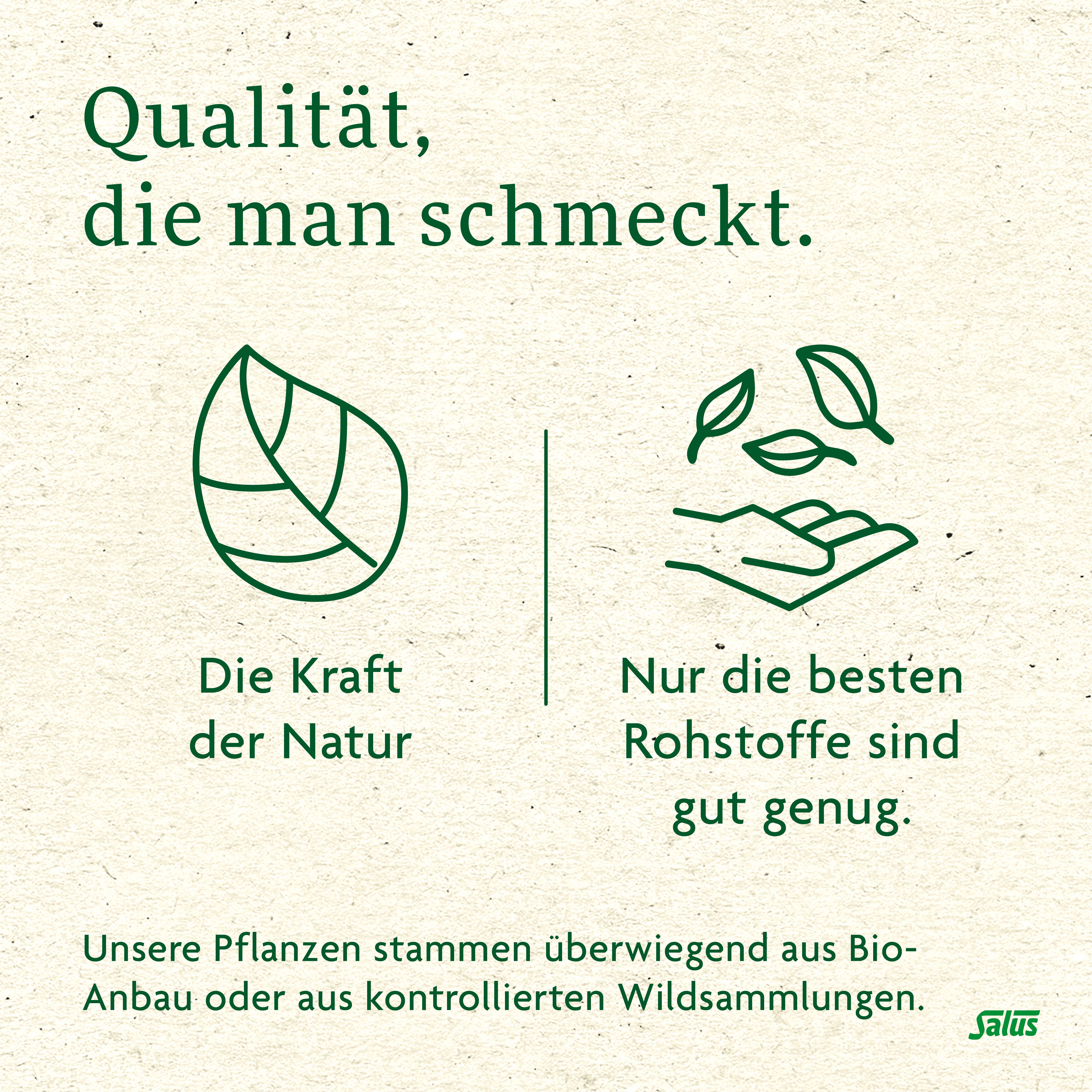 Text: Qualität, die man schmeckt. Illustrationen: Blatt, Blätter in Hand, Text: Die Kraft der Natur, Nur die besten Rohstoffe sind gut genug.