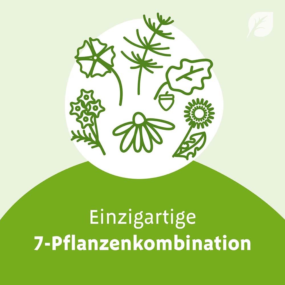 Grafik: 7 Pflanzen. Text: Einzigartige 7-Pflanzenkombination. Grüner Hintergrund mit Blatt-Logo.