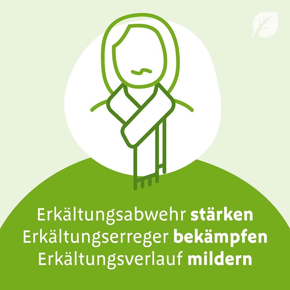 Grafik: Person mit Schal. Text: Erkältungsabwehr stärken, Erkältungserreger bekämpfen, Erkältungsverlauf mildern.